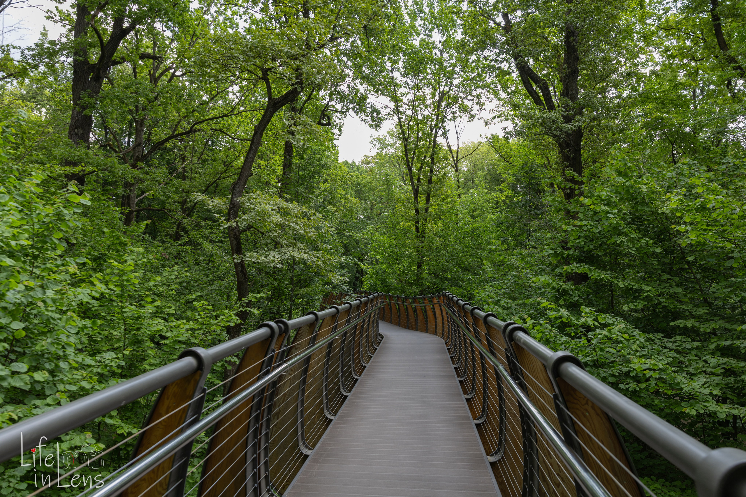 ВДНХ. День России. Фотограф, получающий удовольствие от своей работы