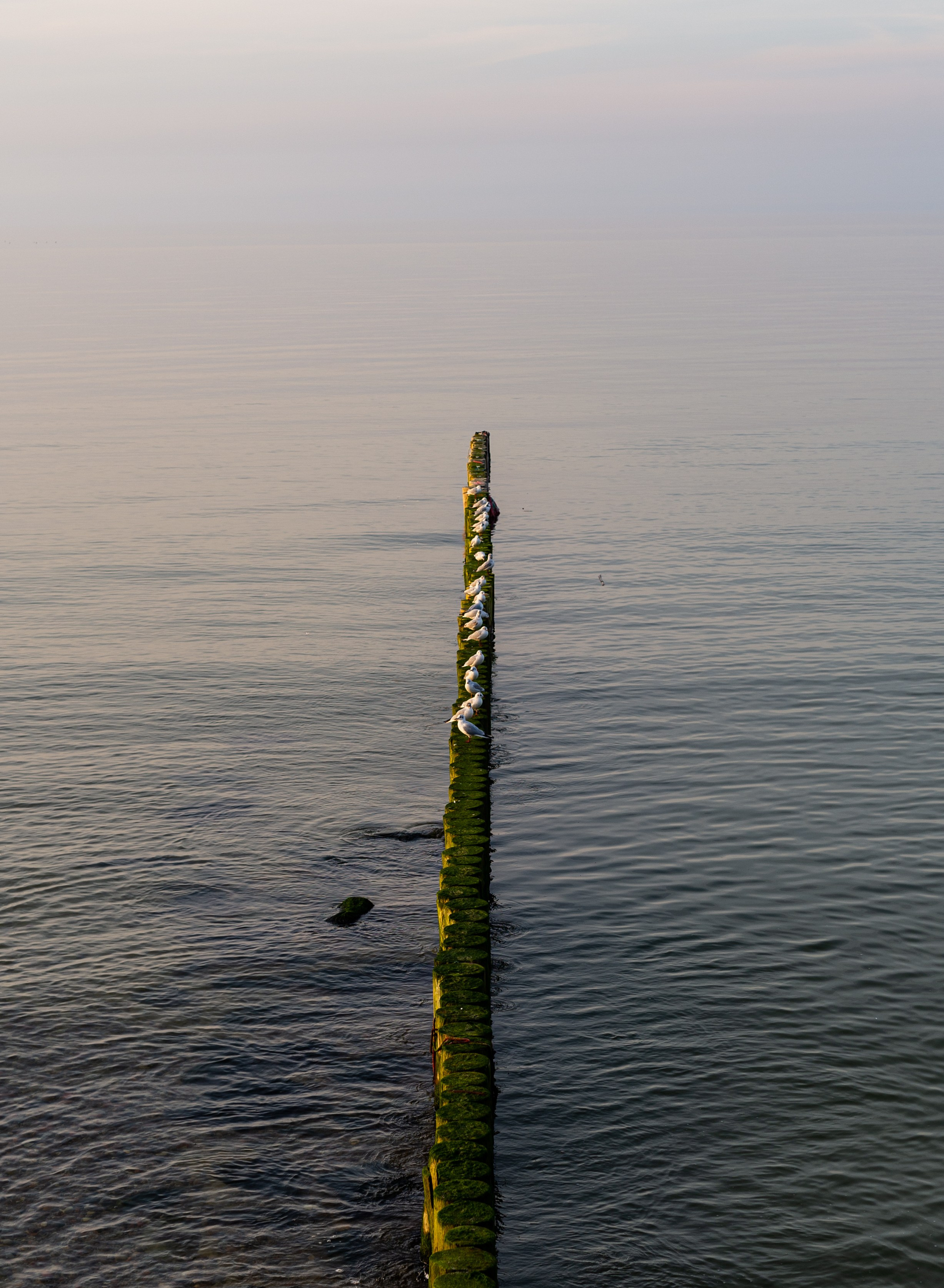 Пейзажи и архитектура. Коммерческий фотограф в Москве Садовников Алексей