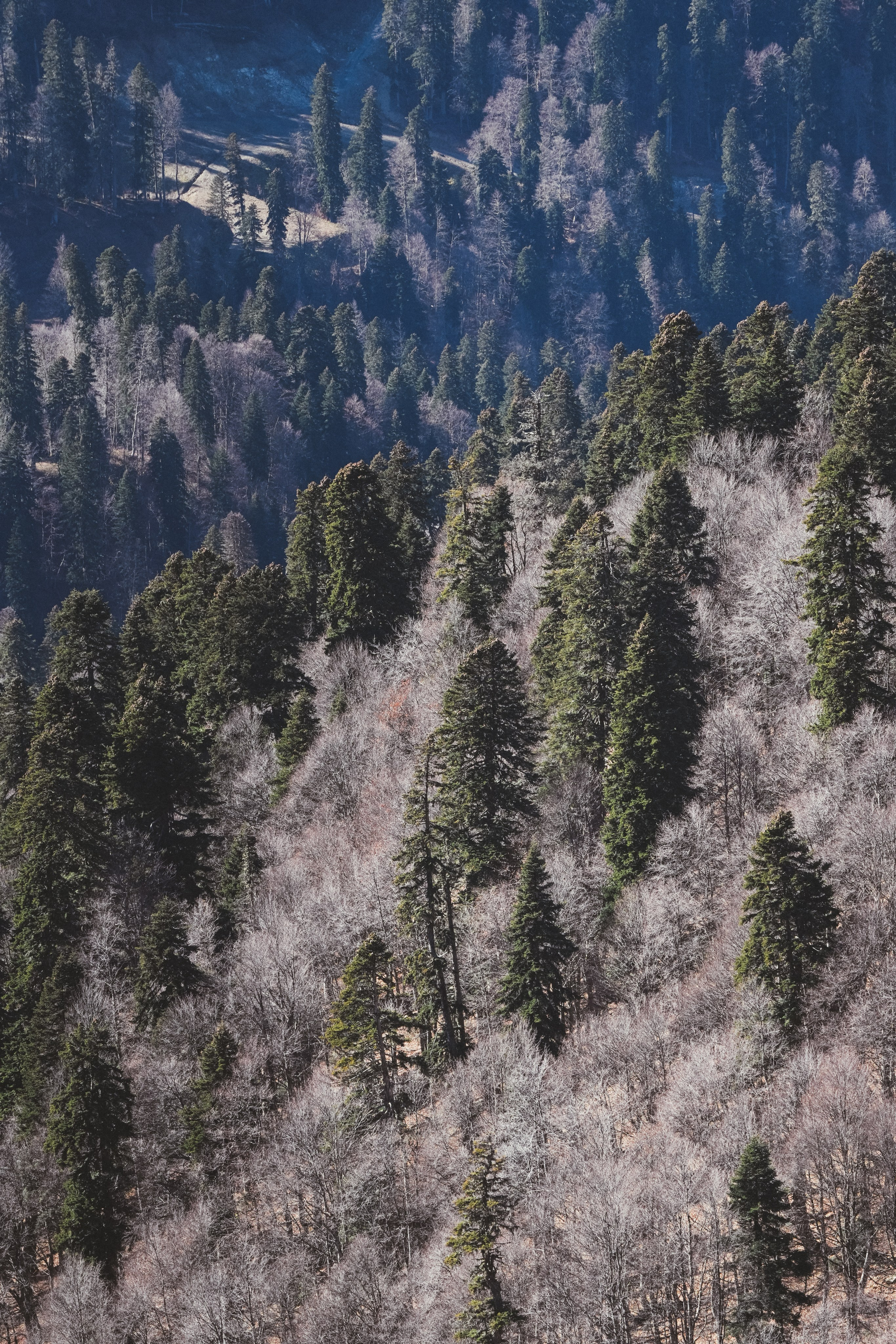 Роза Хутор ✽ Ноябрь. Репортажный фотограф | Роза Хутор Красная Поляна Сочи Сириус