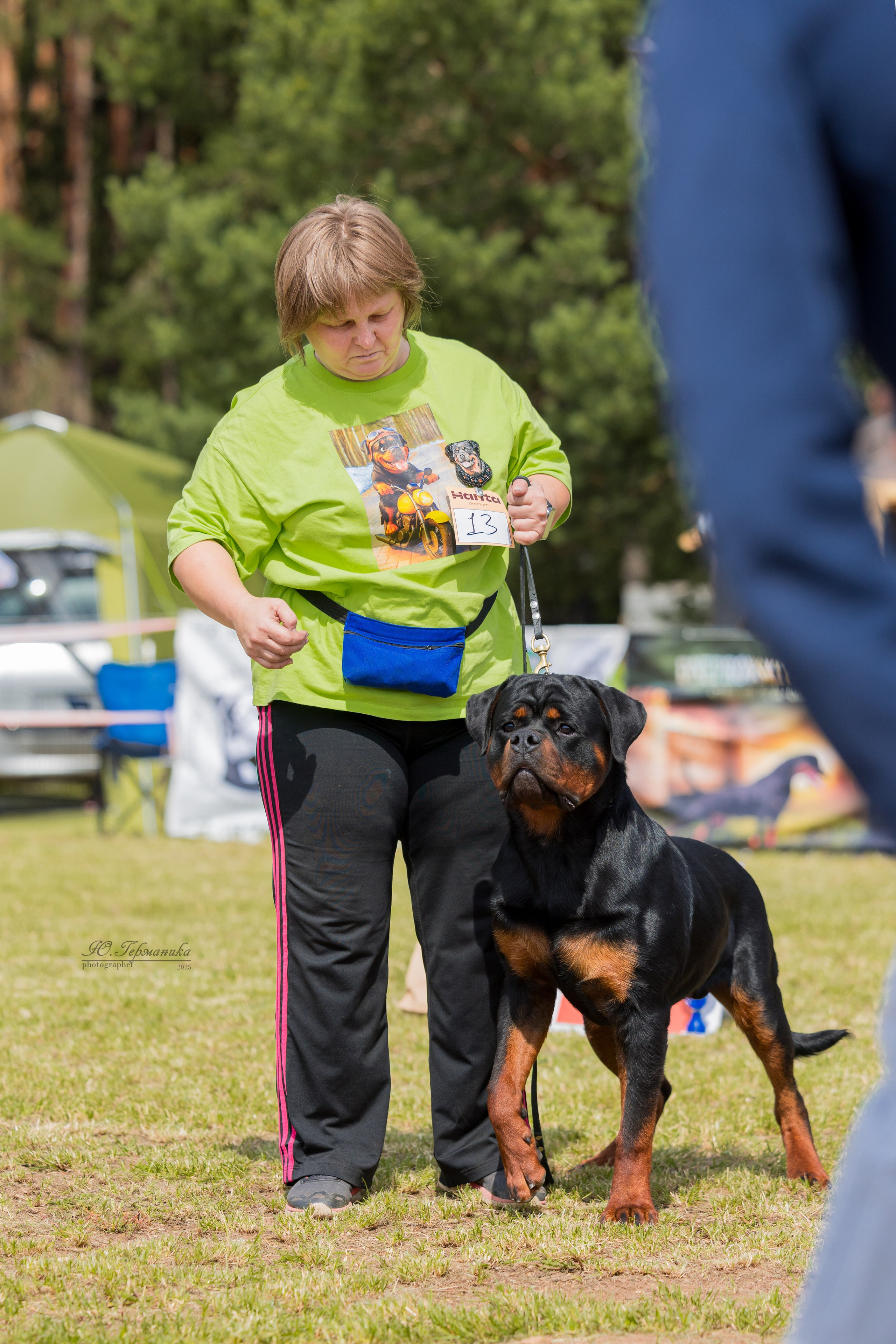 Тверь ротвейлеры 5-6.07.2025. Фотограф-анималист Юлия Германика