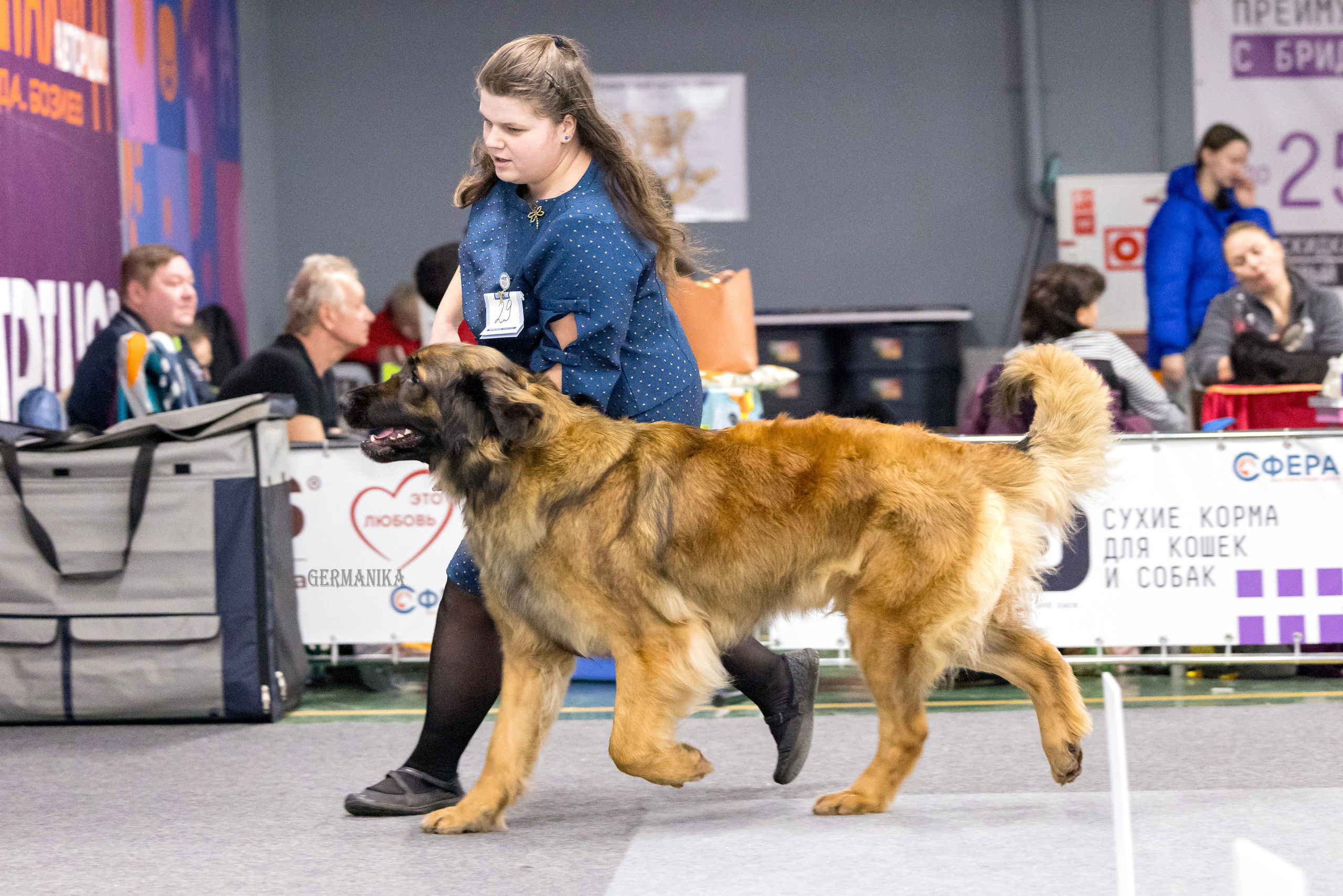 Сфера 28.01. и 4.02.2024. Фотограф-анималист Юлия Германика