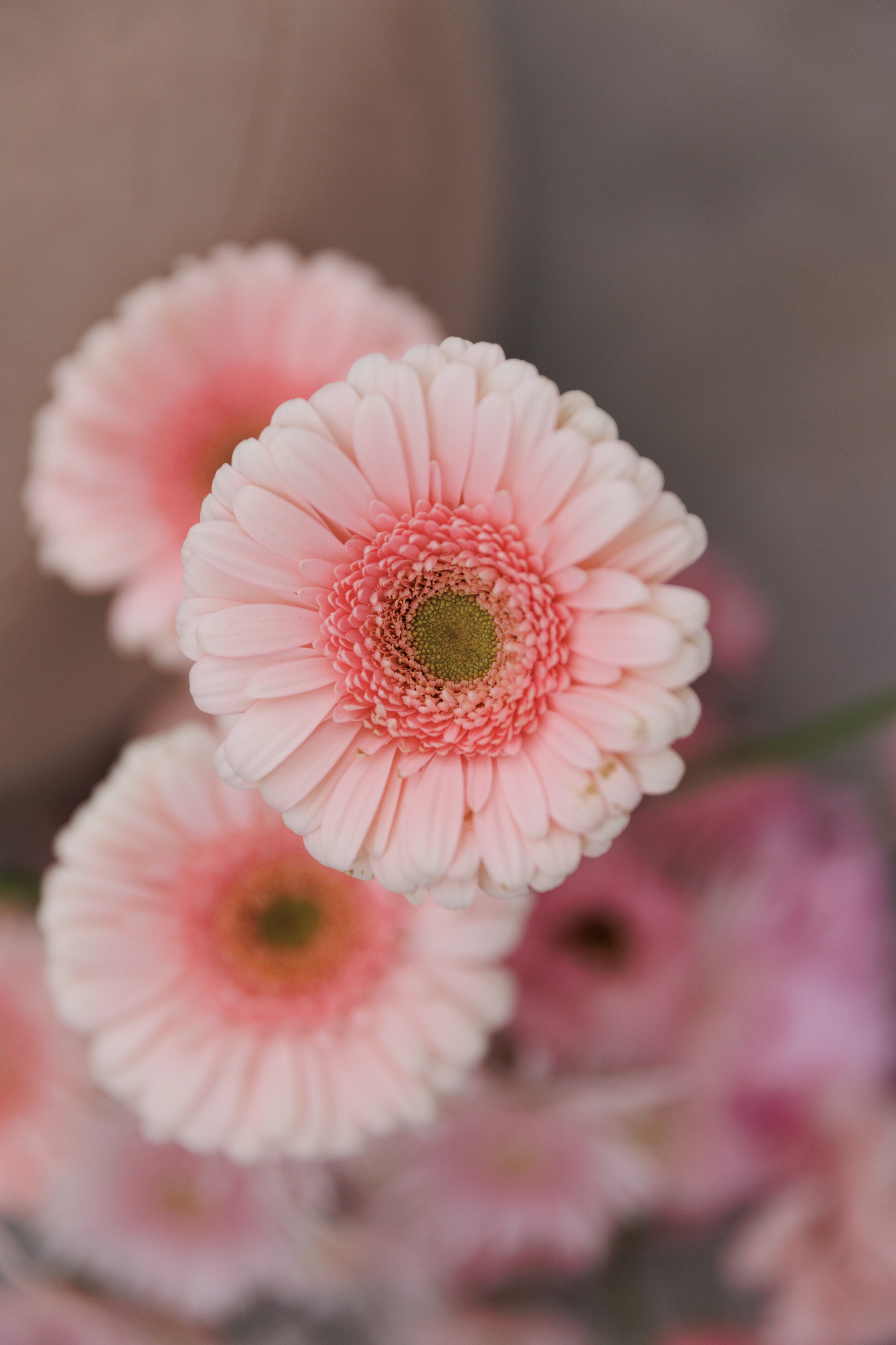 Артем и Юлия. Фотограф Краснодар Юлия Бураченко Свадьбы Репортаж Семейные Индивидуальные съемки