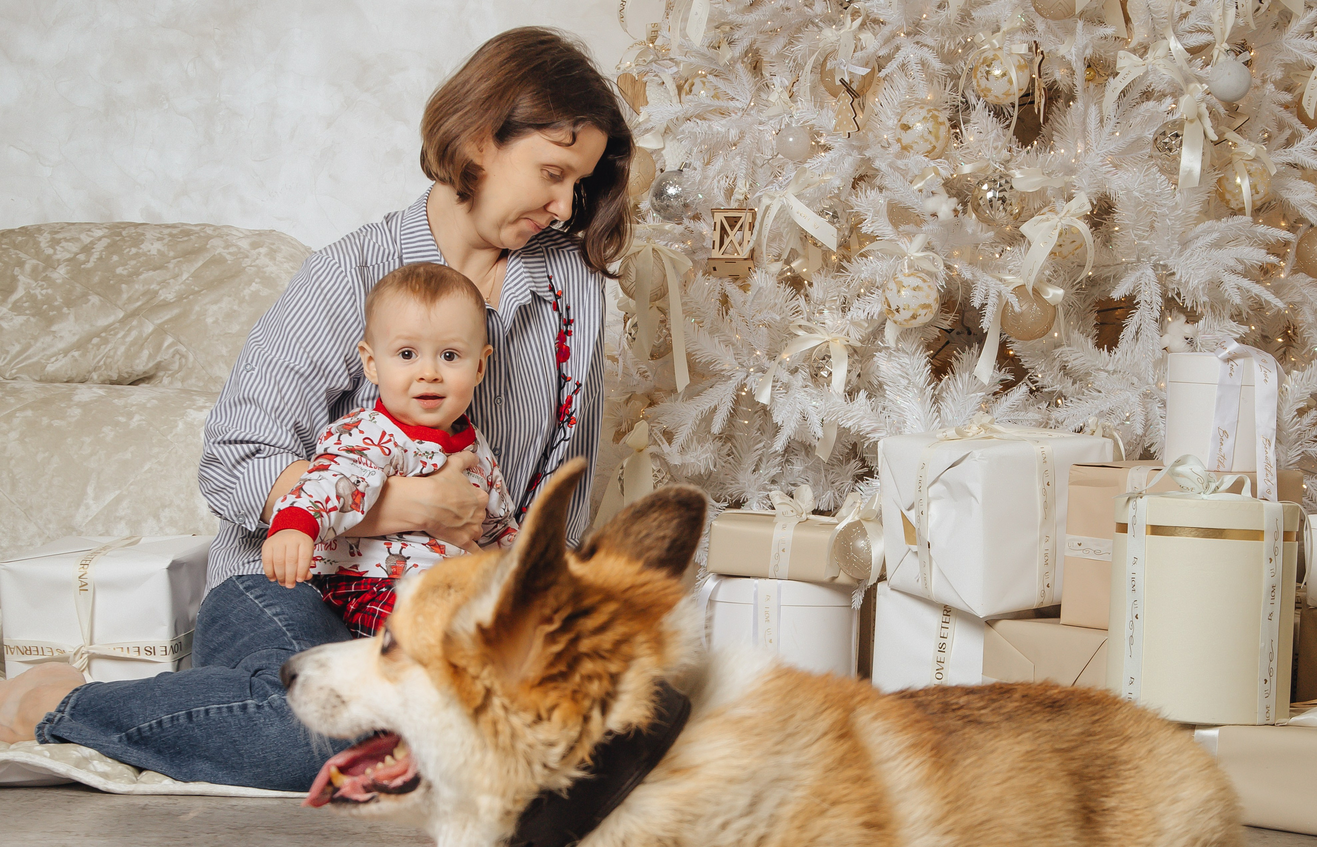 Норд и его семья