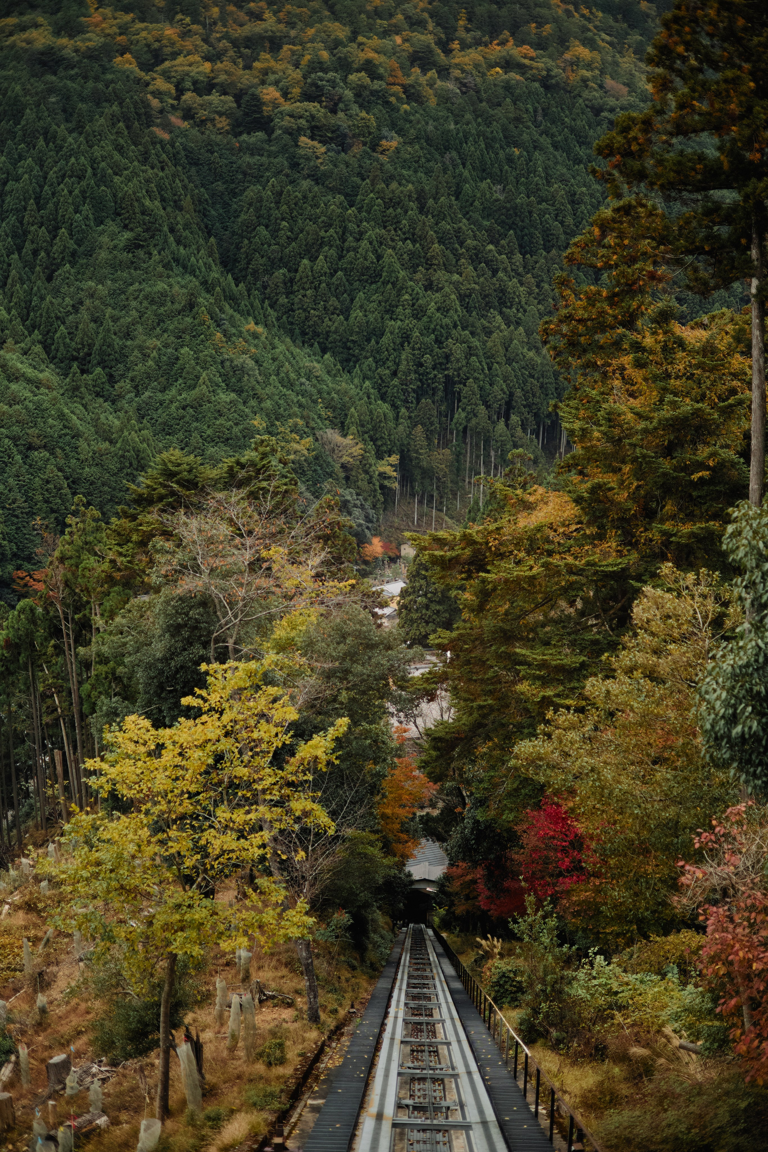 Япония. Профессиональный Фотограф во Владимире, в Москве и в Суздале — Полина Романычева