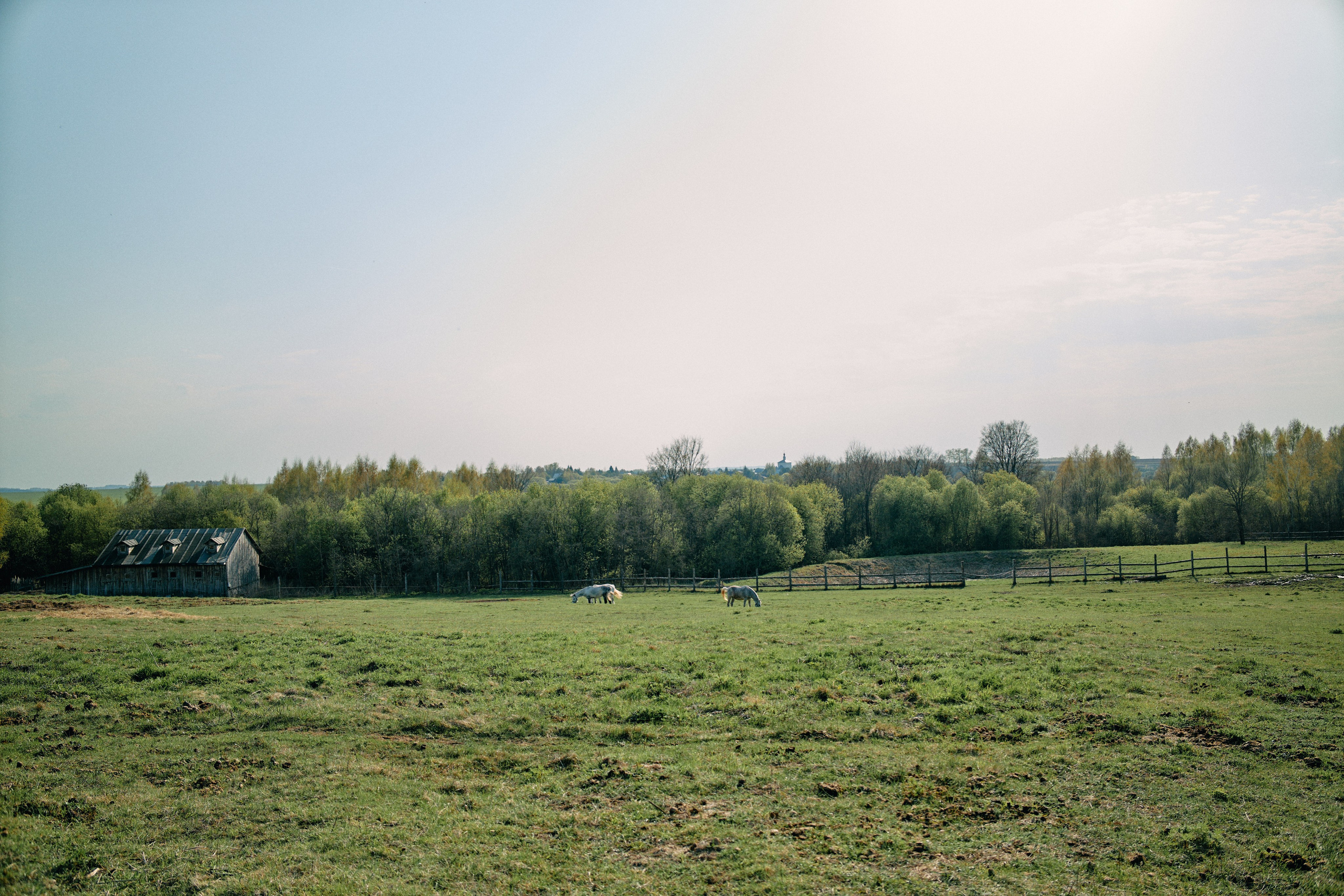 Бутик-отель Поле летом. Профессиональный Фотограф во Владимире, в Москве и в Суздале — Полина Романычева