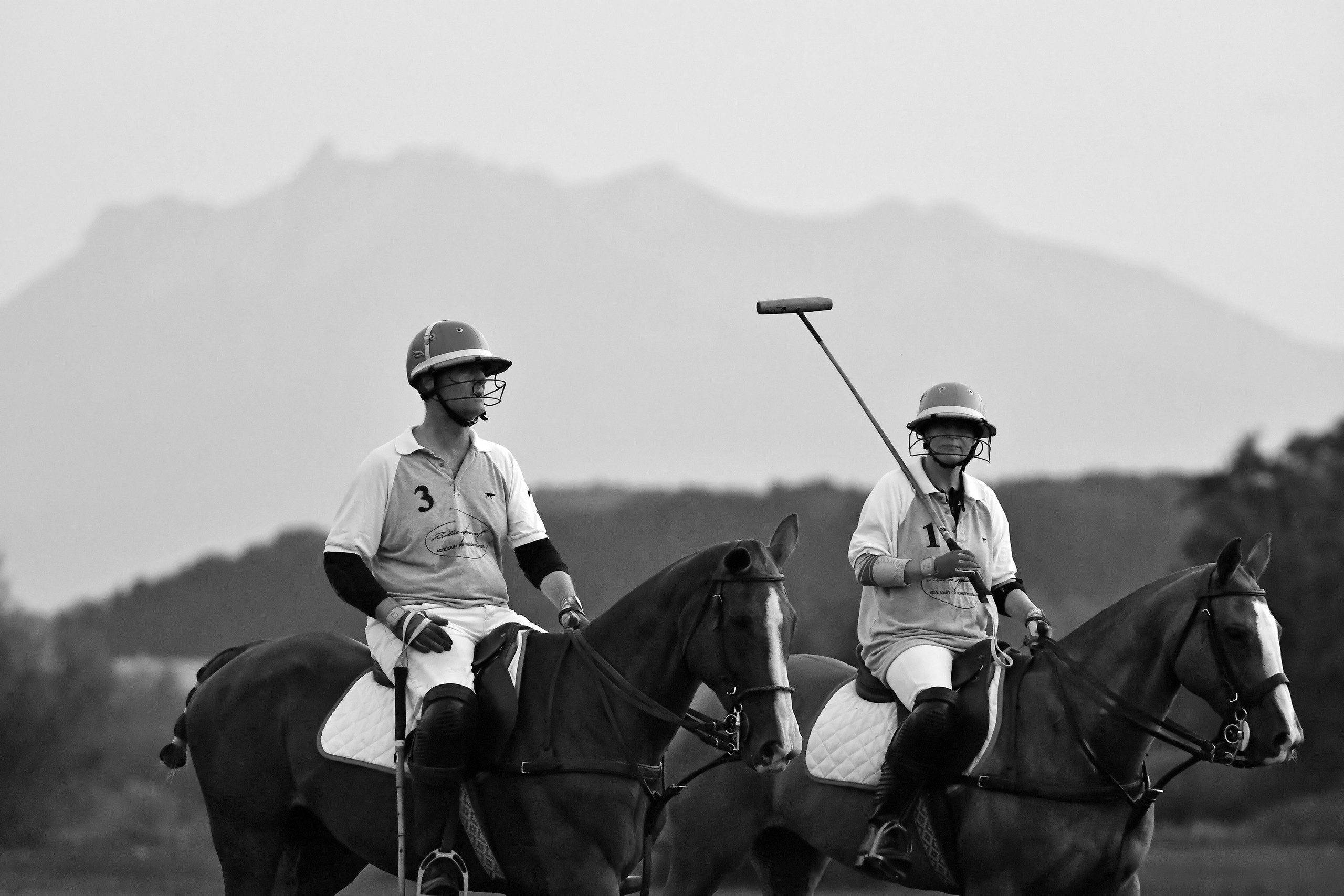 Polo art photos. Art photos of horses — ARTUR BABOEV | Photographer
