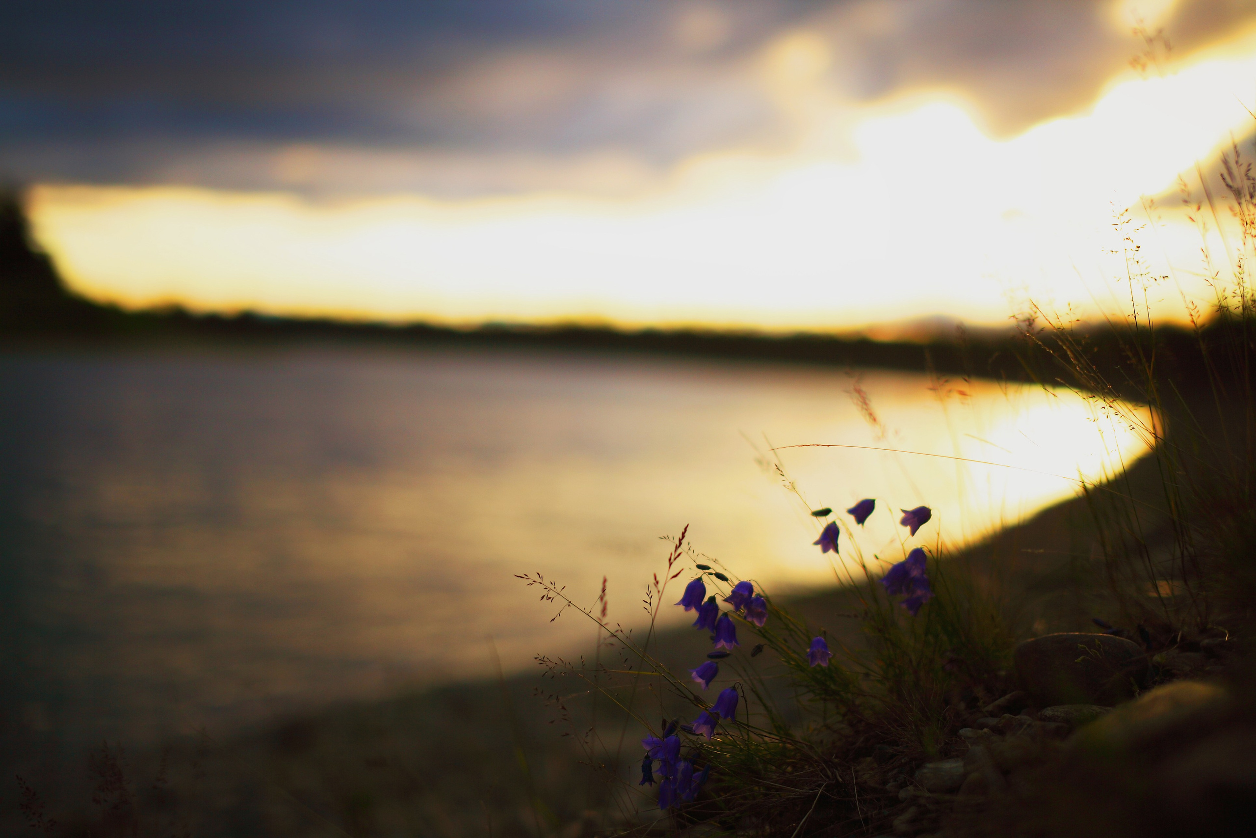 Полярный Урал. Свадебный и репортажный фотограф в Ярославле и Санкт-Петербурге Роман Микрюков