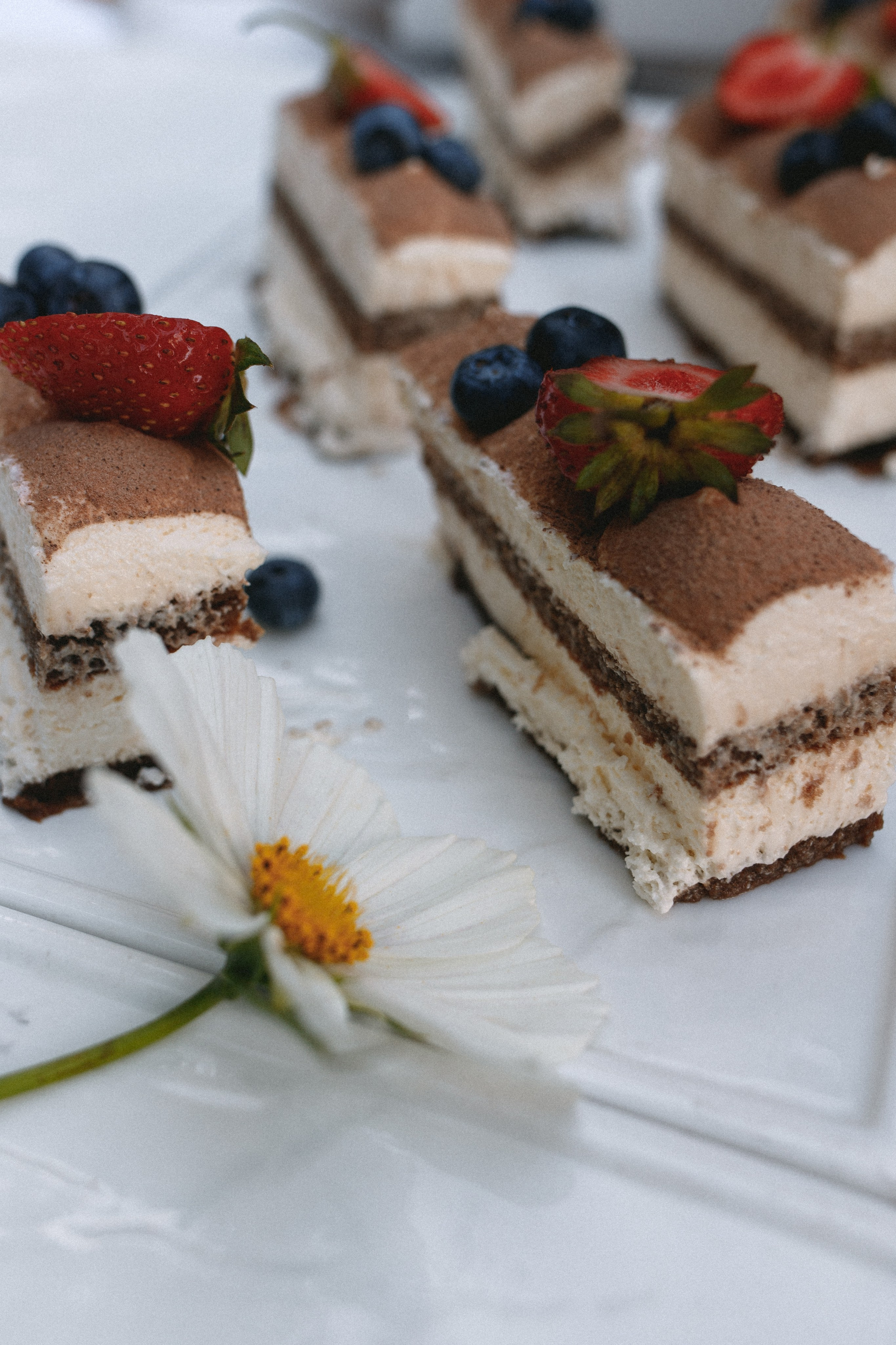 Кусково. Фотограф в Москве Виктория Губина