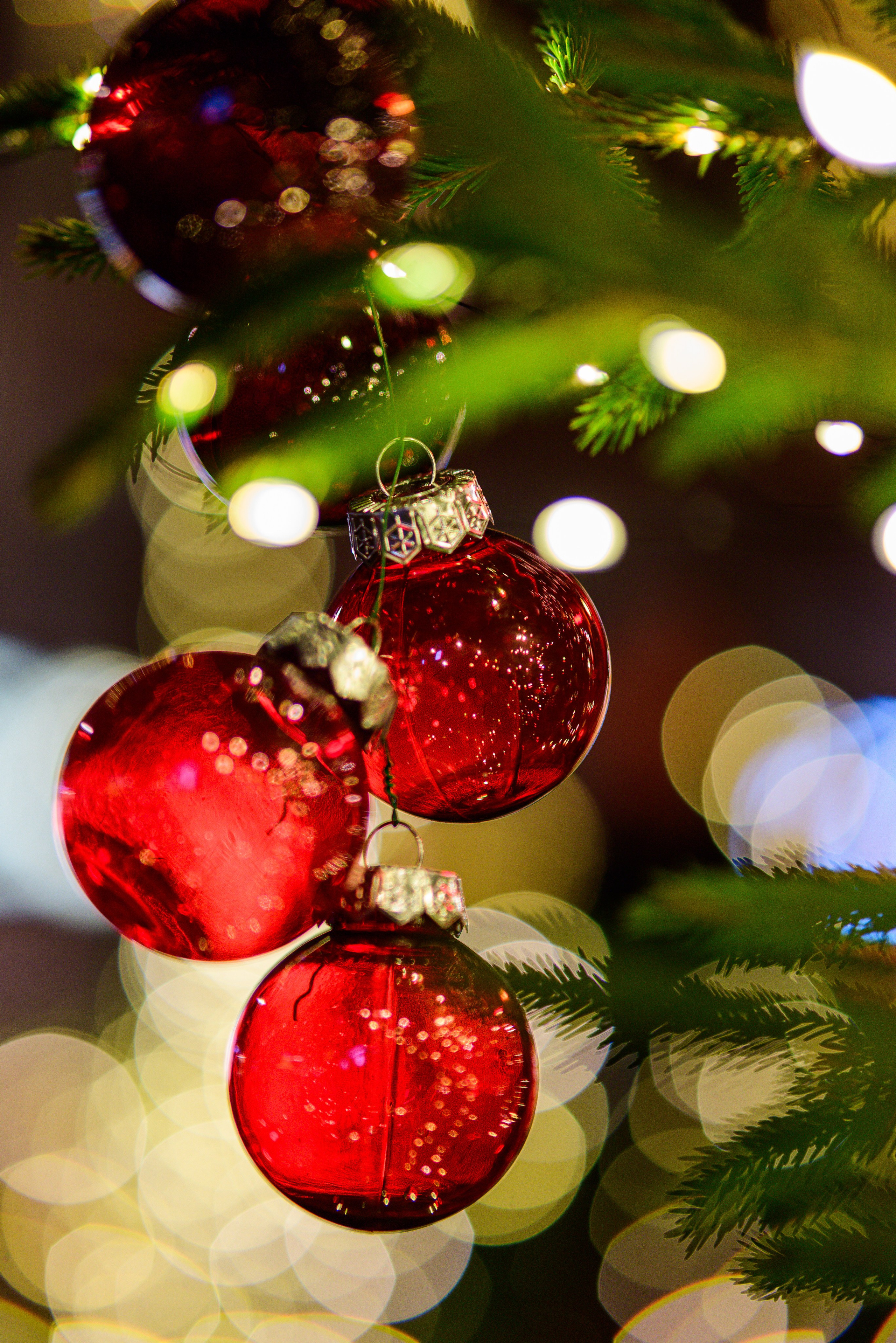 Зимняя Калининградская область. Фотосъемка и видеосъемка в Калининграде Liveemotion.pro