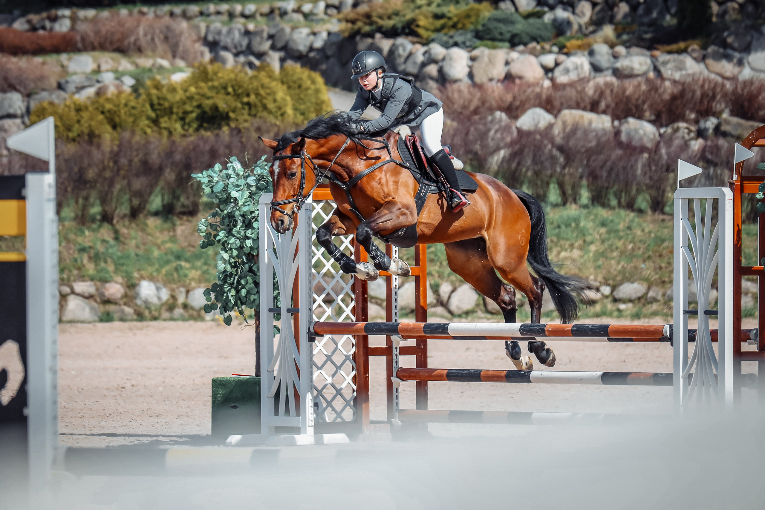 Лошади Евы Демидовой. Ева Демидова. Спортсмен по конкуру в Санкт-Петербуре