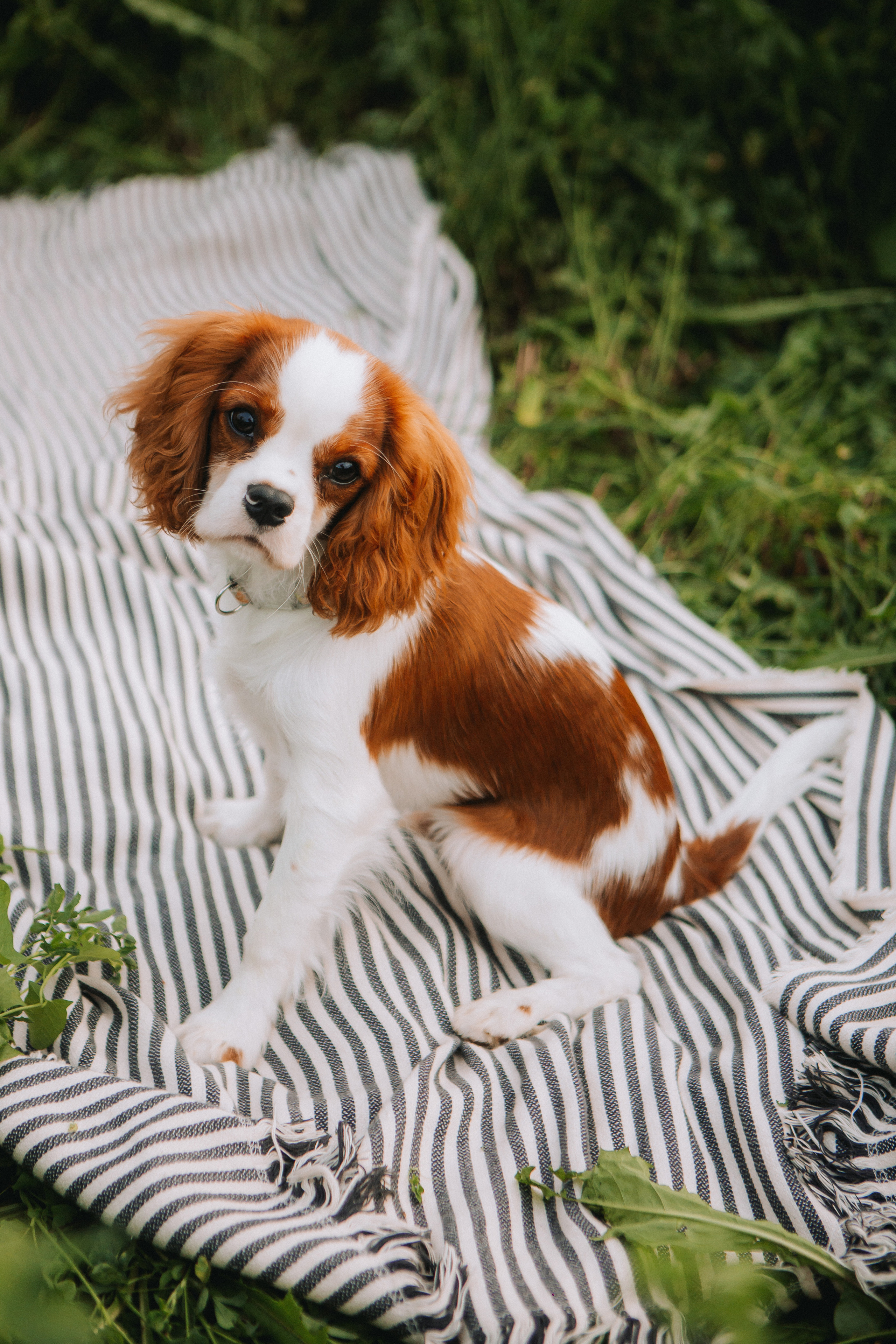 Женя, Марта, Илон. Профессиональная видео и фото съёмка в Калуге и области