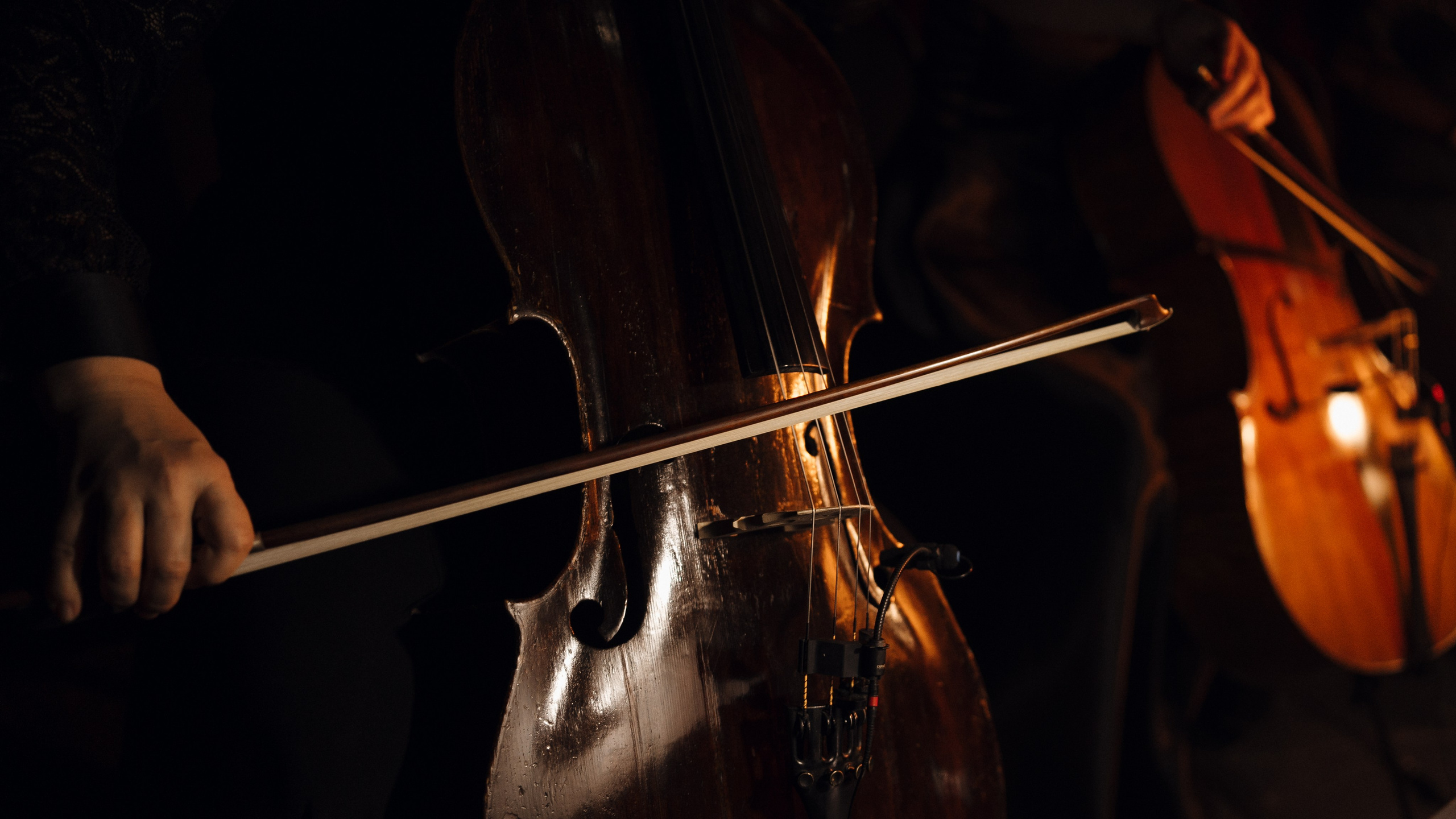 Концерт «ТИТРЫ»: Рита Ричи и оркестр Ильи Филиппова 15.02.25. Свадебный фотограф в Краснодаре и Сочи Винидиктова Екатерина