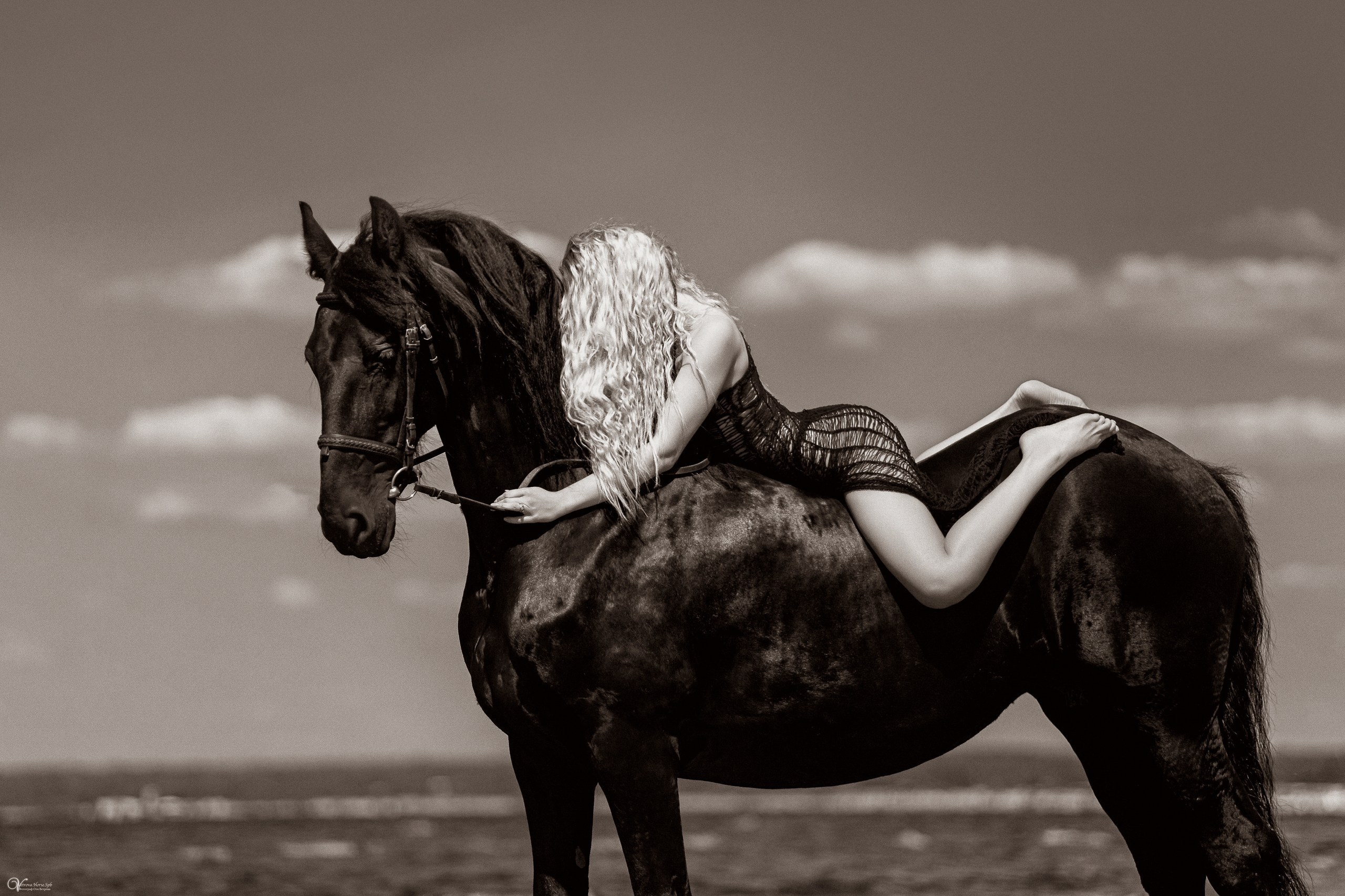 Фотосессии с лошадьми летом. Фотограф женский и мужской портрет Санкт-Петербург