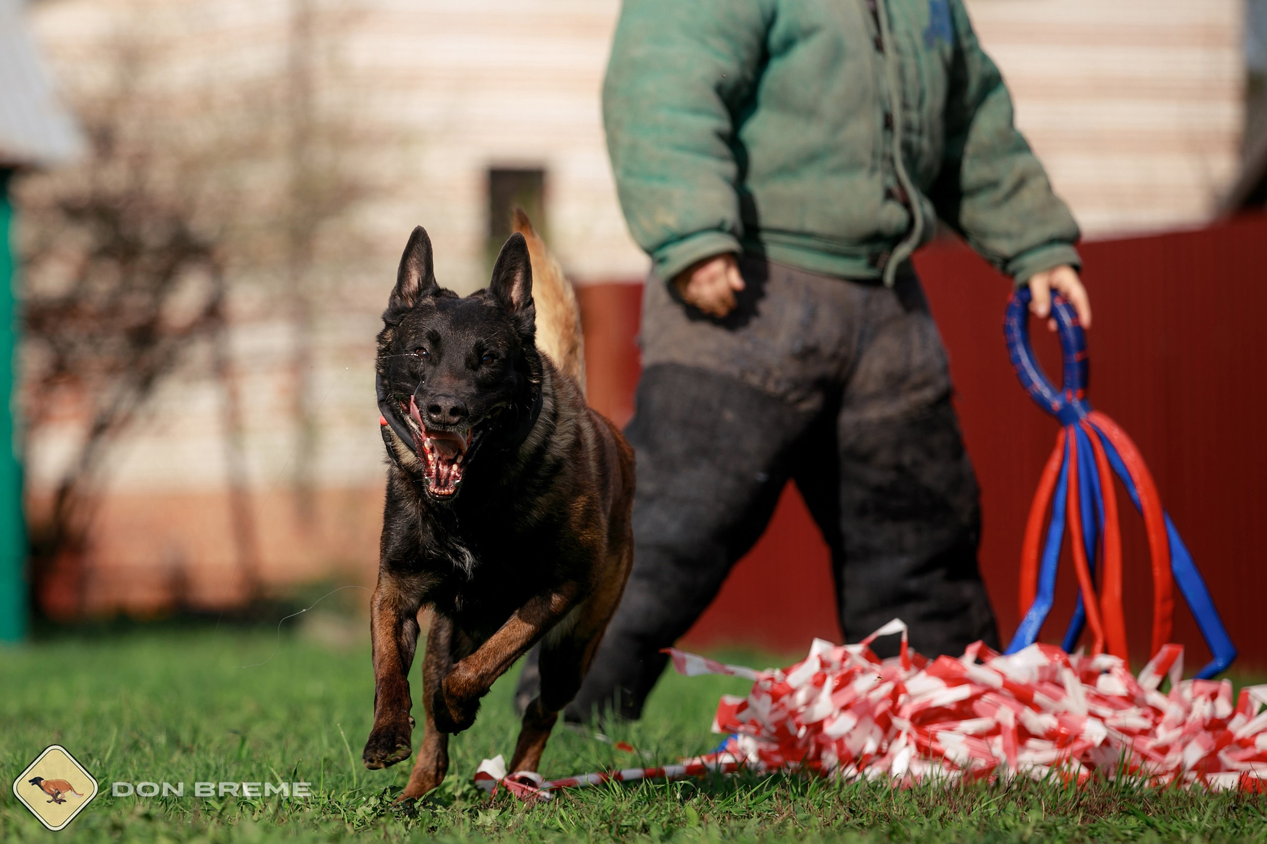 Семинар для фигурантов, день 2. Фотограф-анималист Mary Mart — Москва, Питер