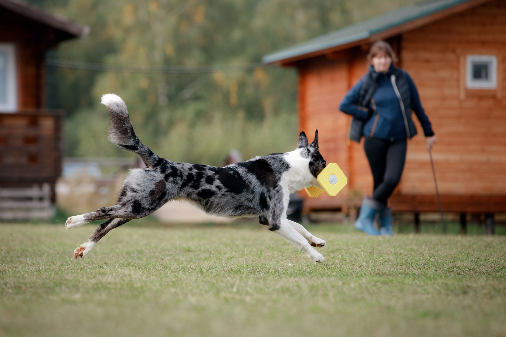 Лагерь по ОБД с Инной Баженовой. Фотограф-анималист Mary Mart — Москва, Питер
