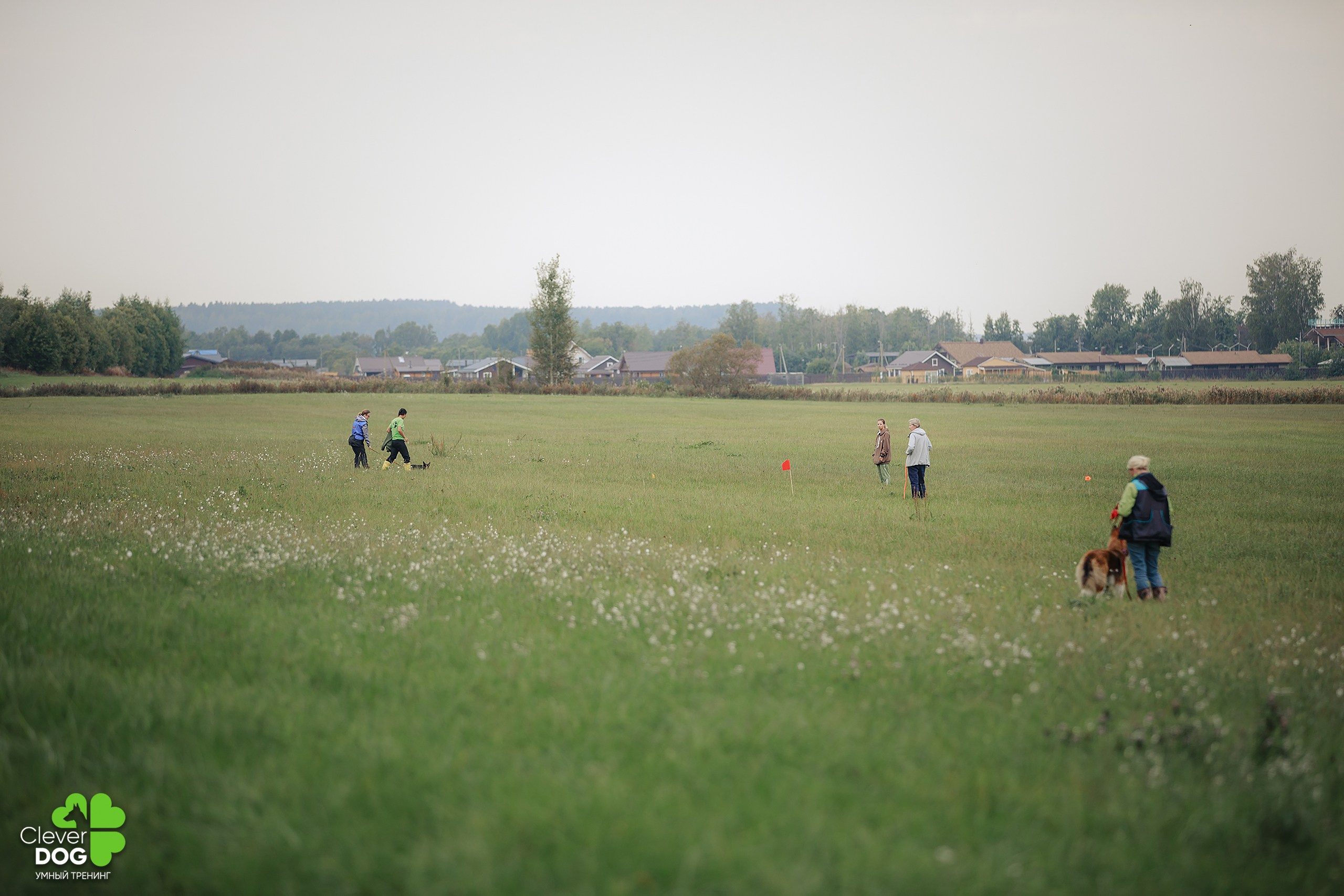 Кинологический лагерь CleverDog, 2024. Фотограф-анималист Mary Mart — Москва, Питер