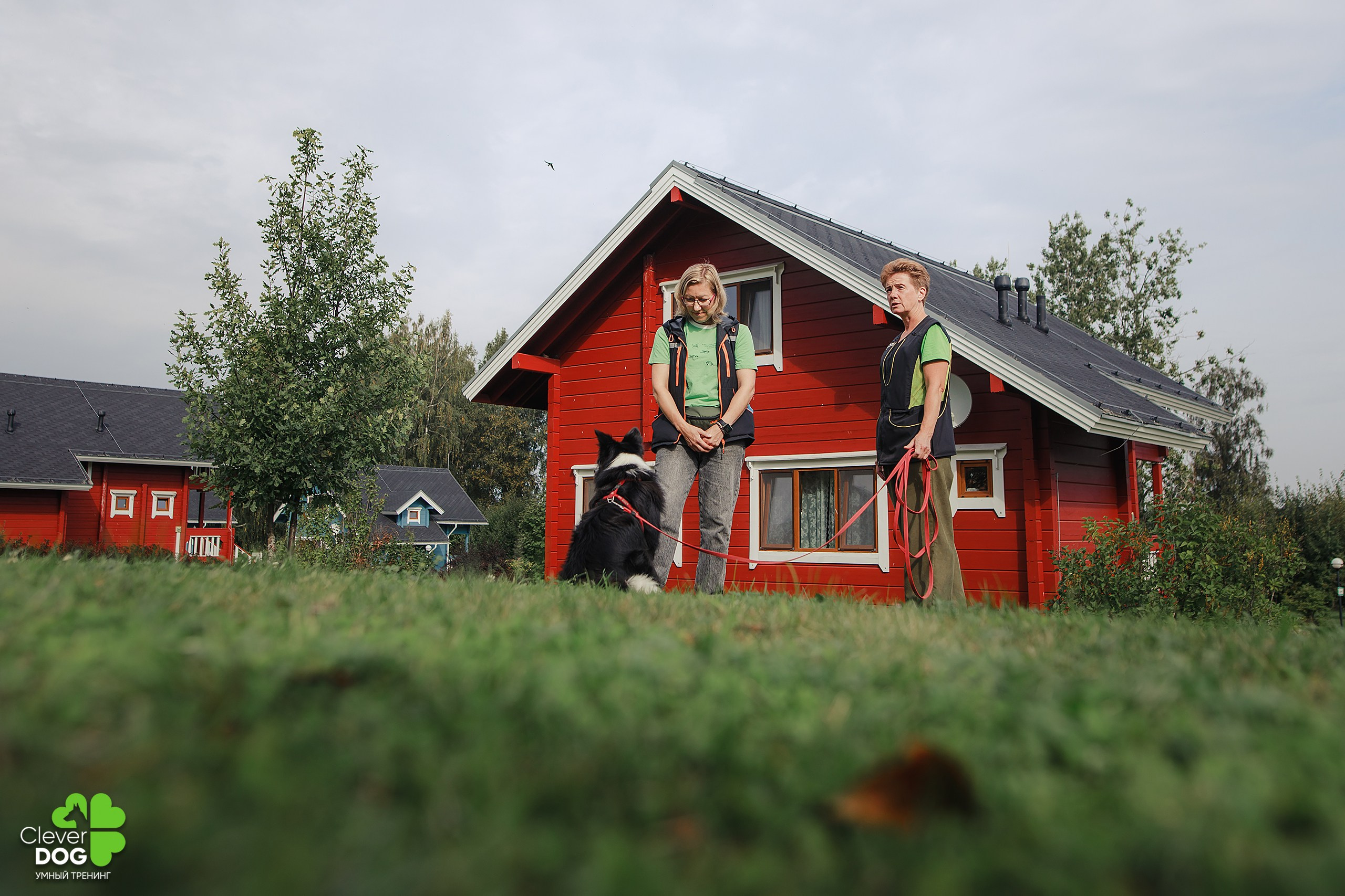 Кинологический лагерь CleverDog, 2024. Фотограф-анималист Mary Mart — Москва, Питер