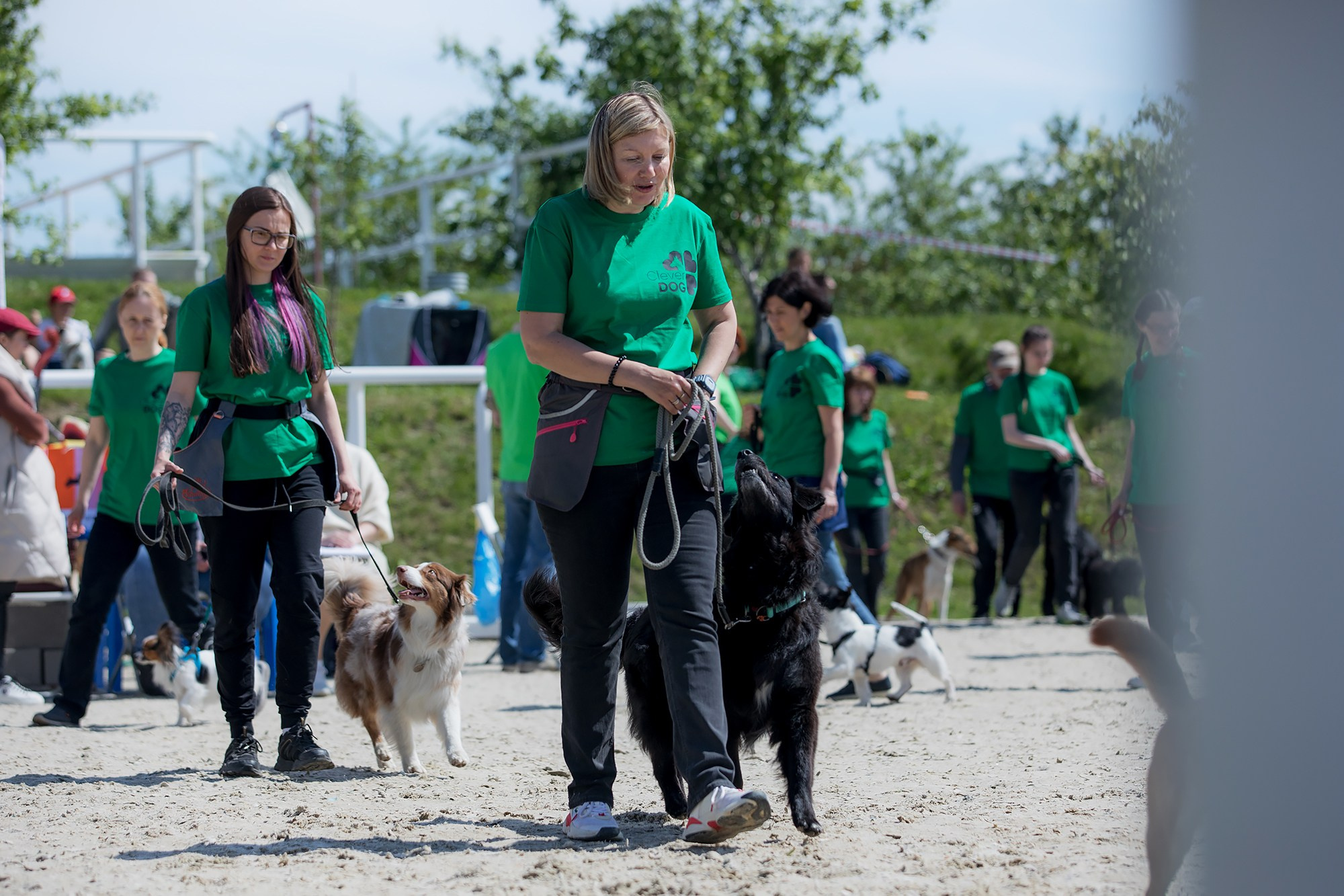 Показательные выступления по NoseWork на выставке «Россия». Фотограф-анималист Mary Mart — Москва, Питер