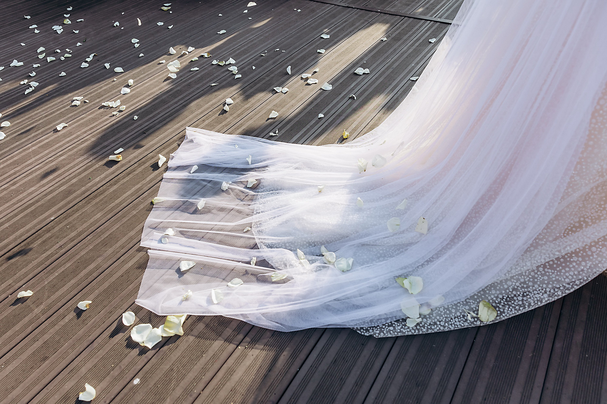 Екатерина и Евгений 11 сентября 2021. Фотограф в Калининграде свадебная фотография, репортажная, фотосессии