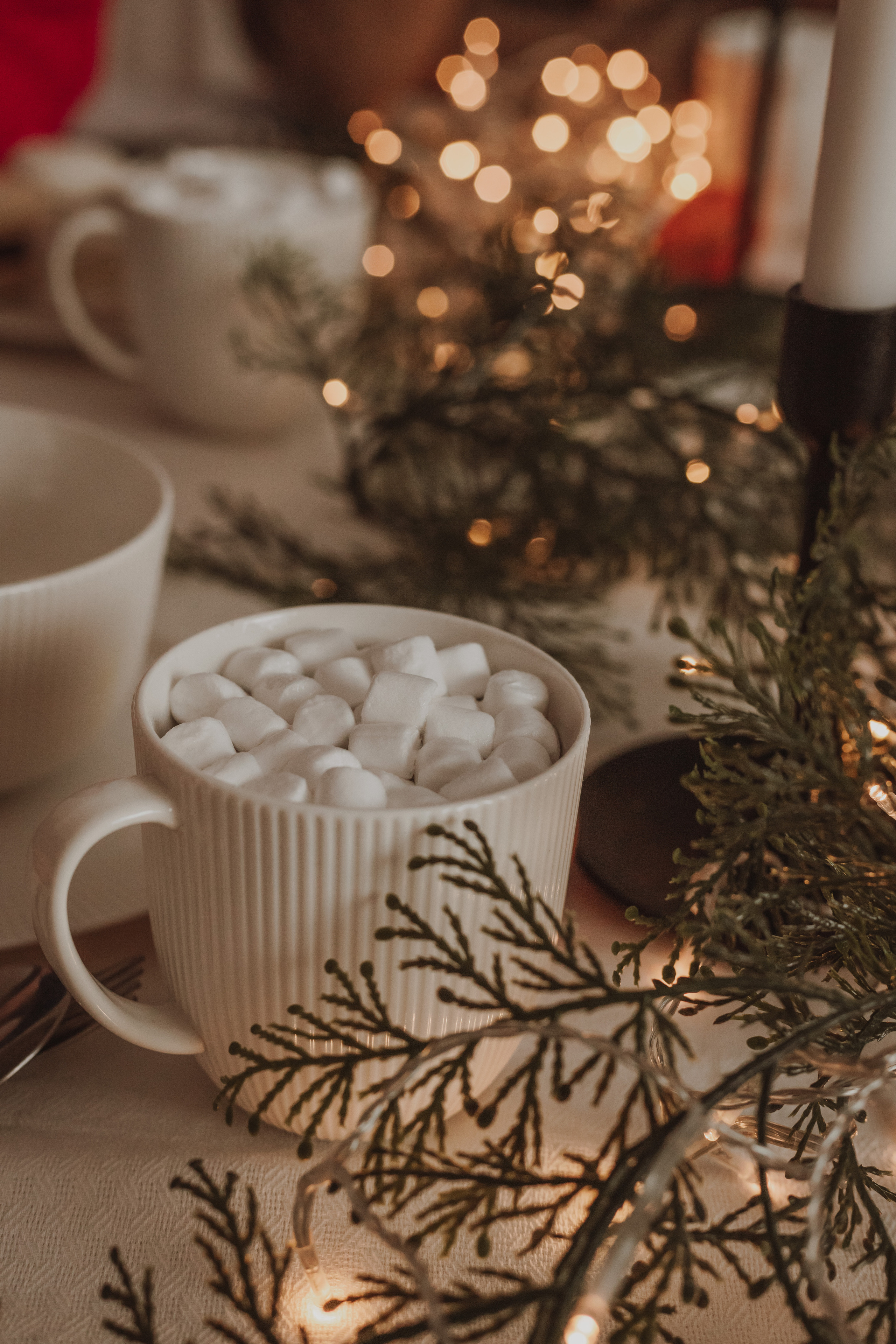 Подружки. Семейный и детский фотограф в г. Новосибирске Макеева Анастасия