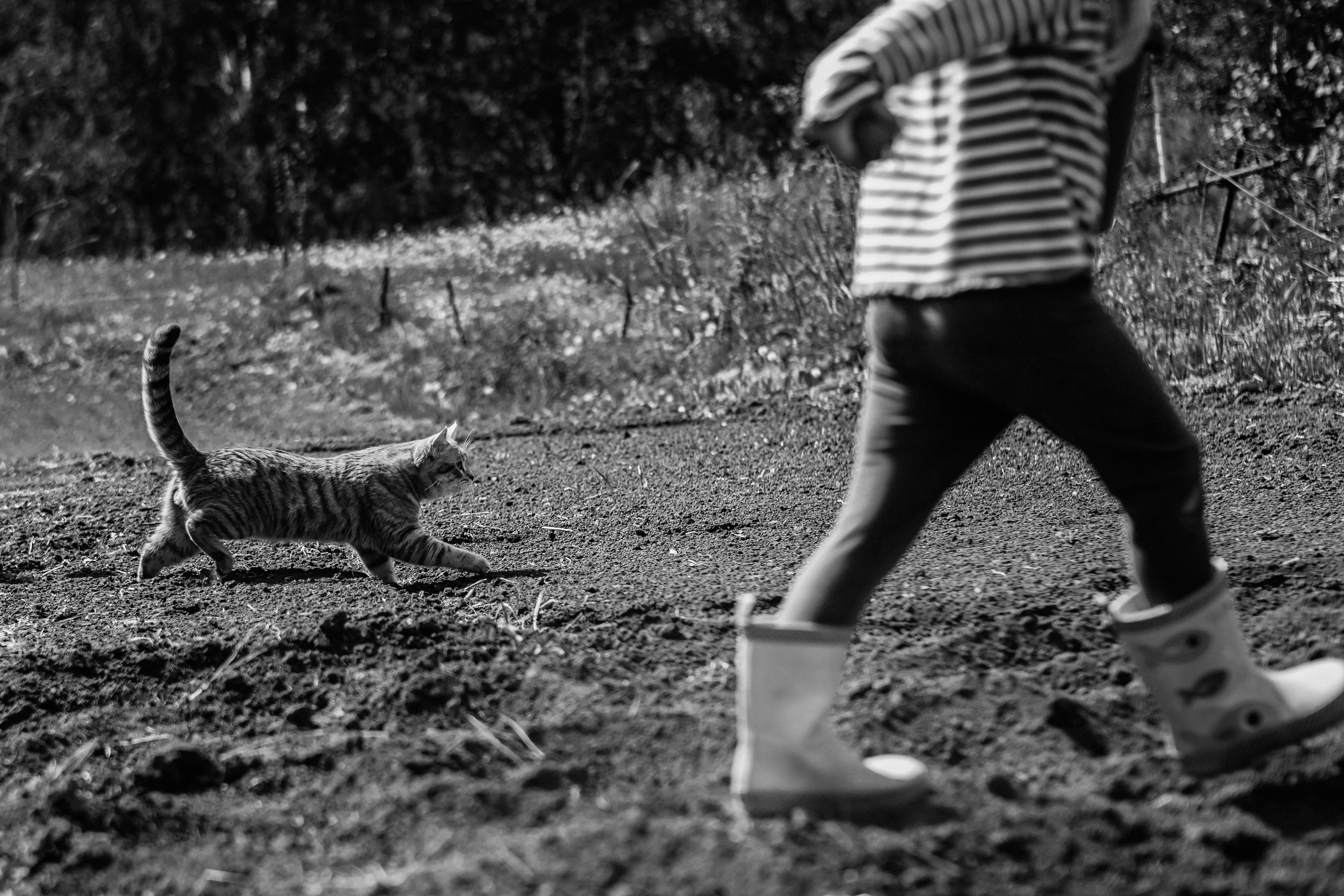 Моя семья. Семейный и детский фотограф в г. Новосибирске Макеева Анастасия