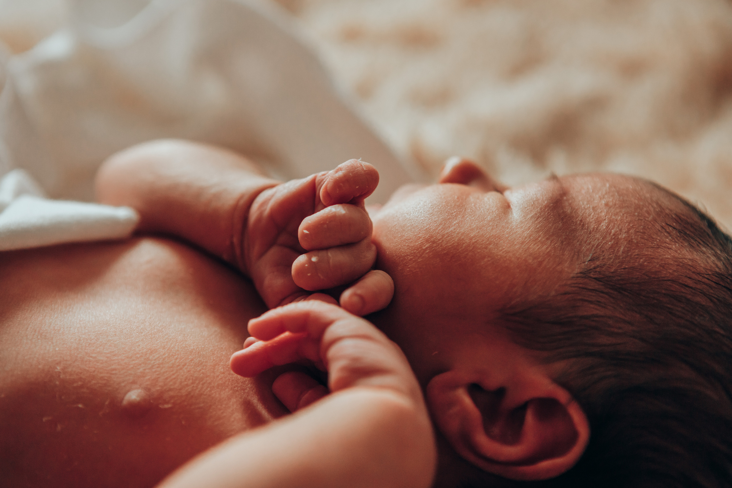 Маленькая Ангелина. Семейный и детский фотограф в г. Новосибирске Макеева Анастасия