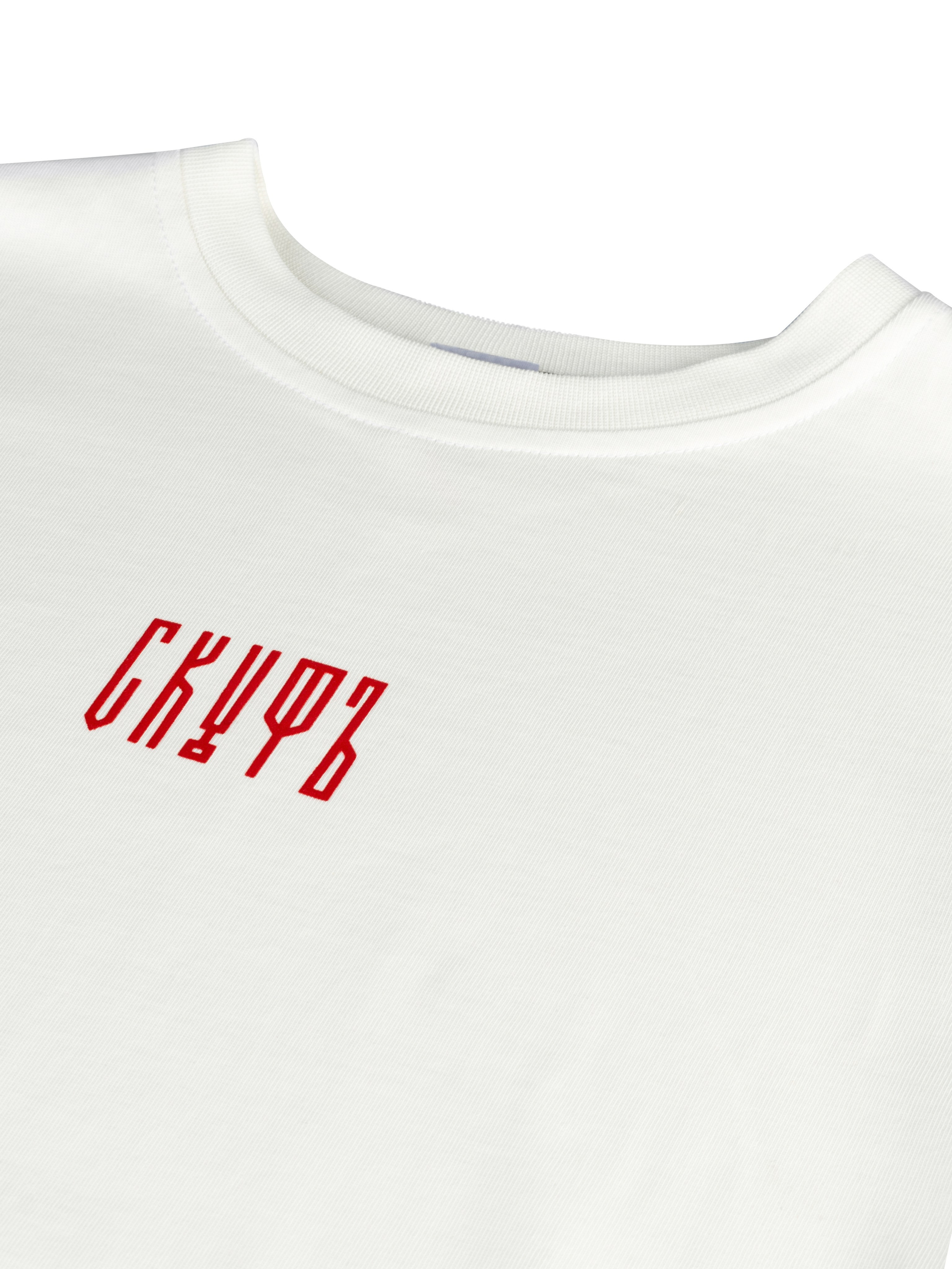 Съемка для SHARK