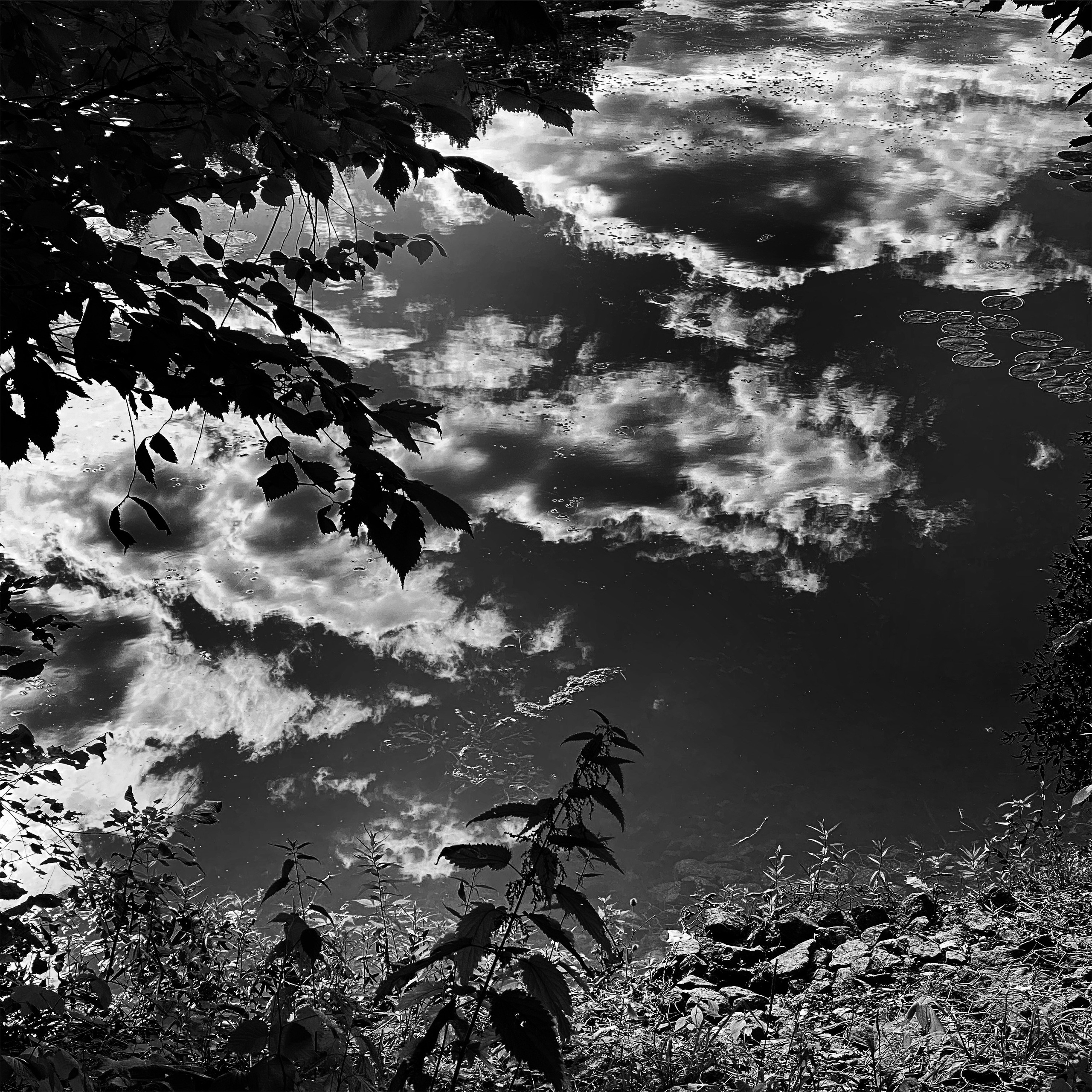 Работы с телефона. Свадебный фотограф в Москве Сафонова Анна