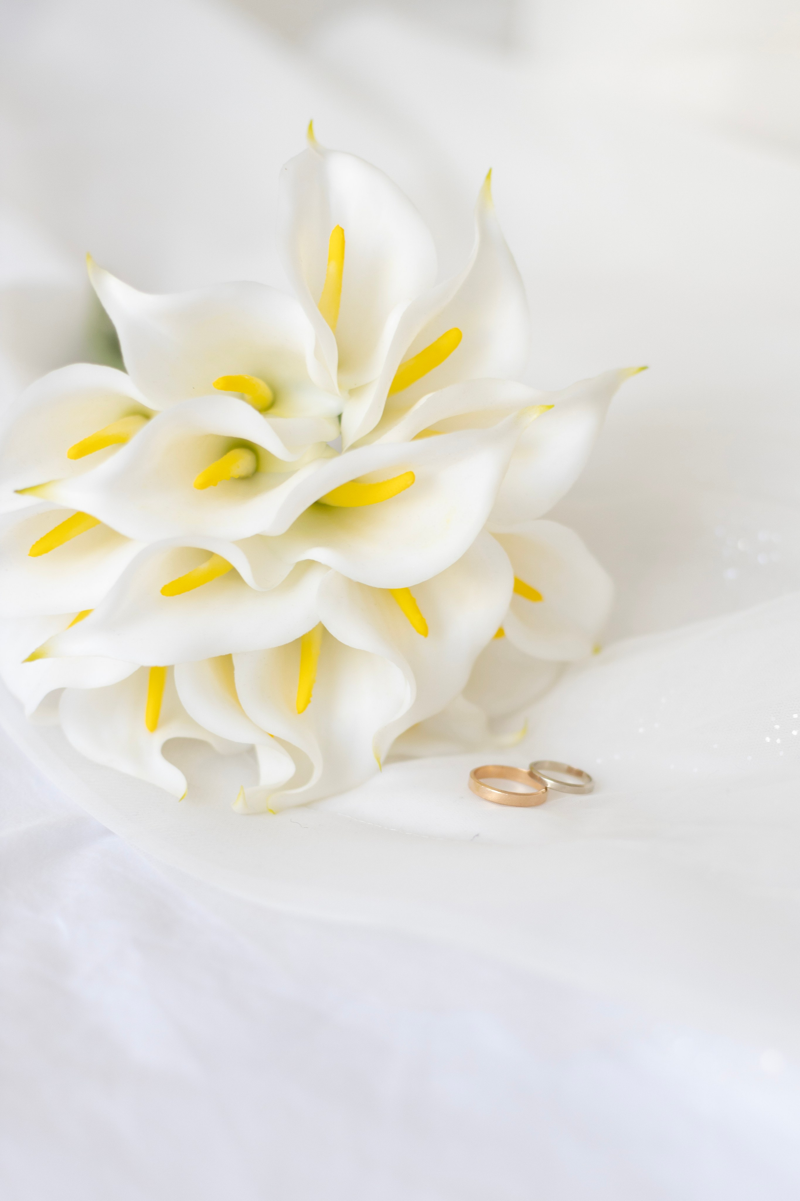 Анна & Даниил. Кузьмина Анастасия — контент-фотограф | Москва