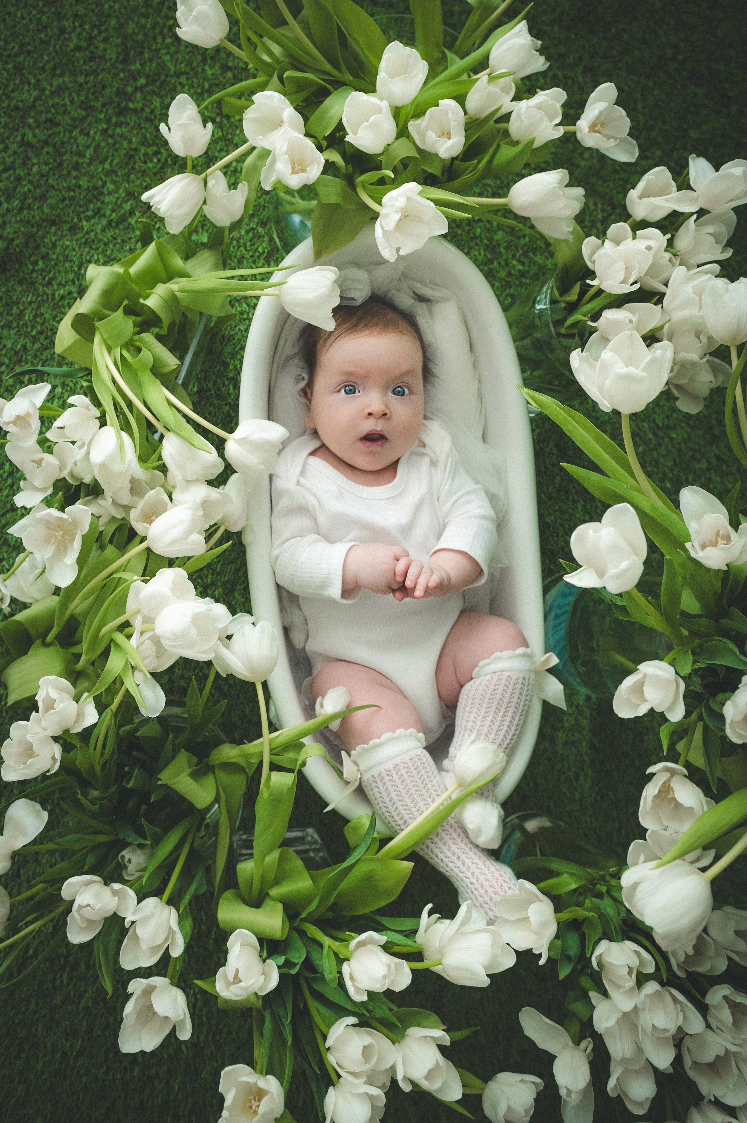 Тюльпаны. Фотограф новорожденных и детей в Барнауле — Екатерина Шапкина