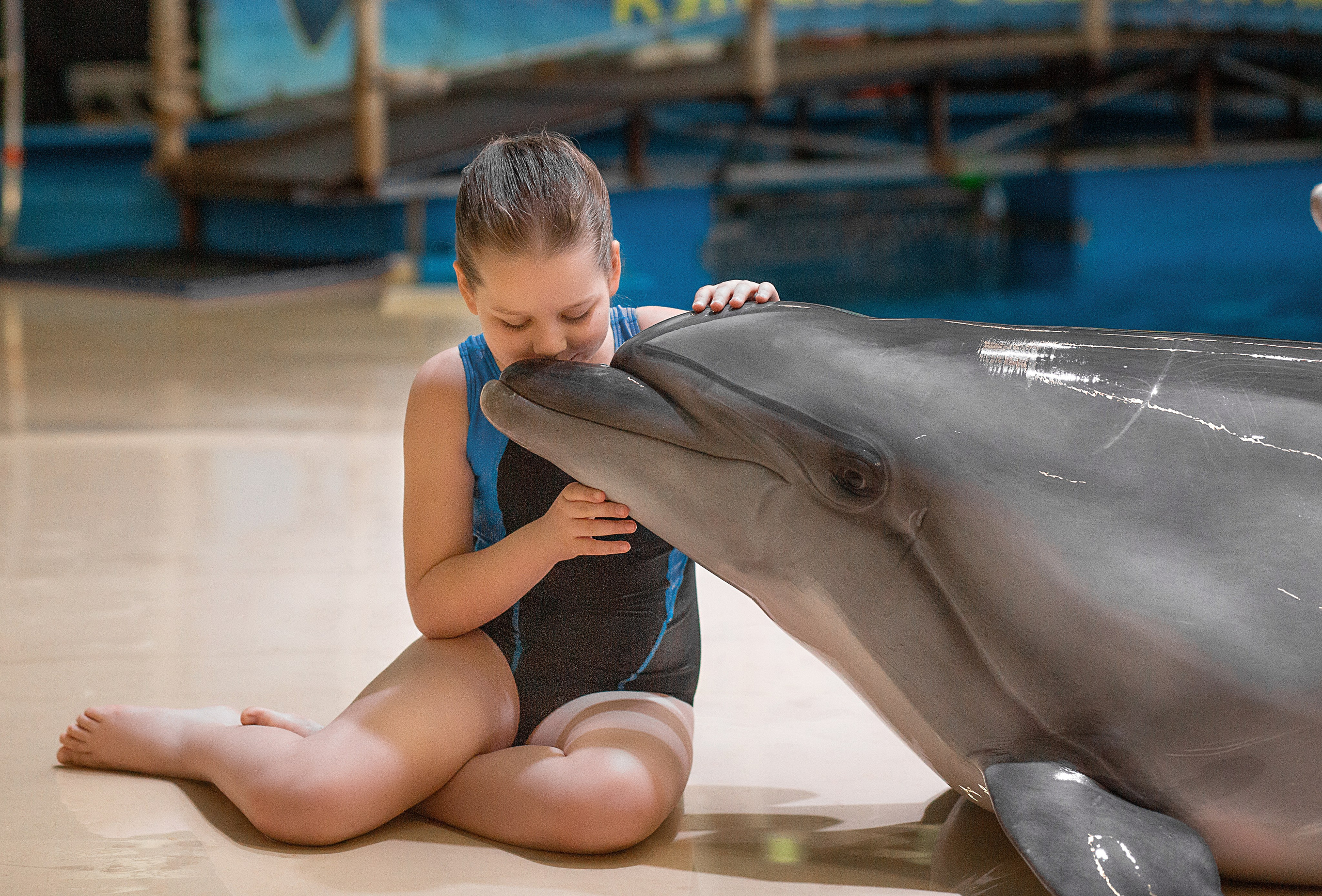 Фотосессия с дельфинами. Фотосессия с лошадьми в Нижнем Новгороде