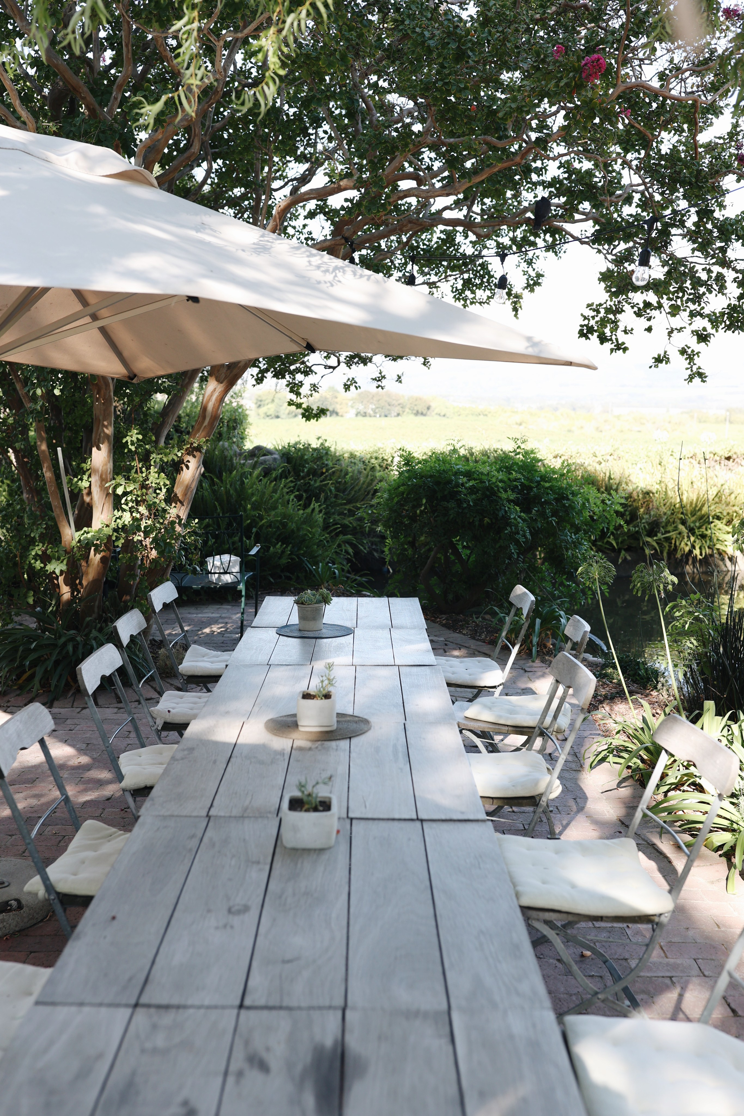 Stellenbosch • Wedgeview Country House & Spa. Ekaterina Buneeva Photography