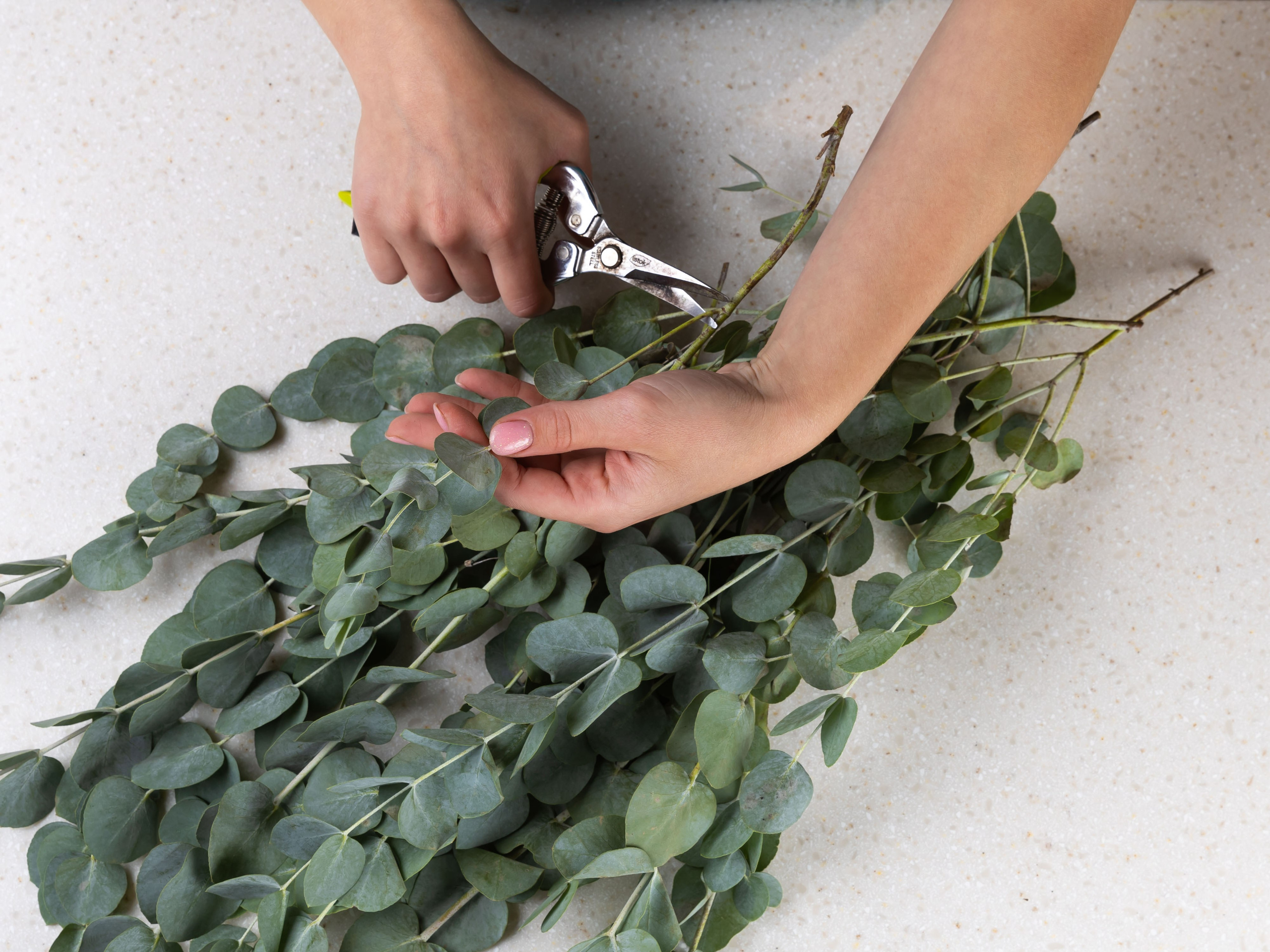 01.08.2025 Фотосессия Цветополис. ФОТОГРАФ ВИНОГРАДОВА ДАРЬЯ