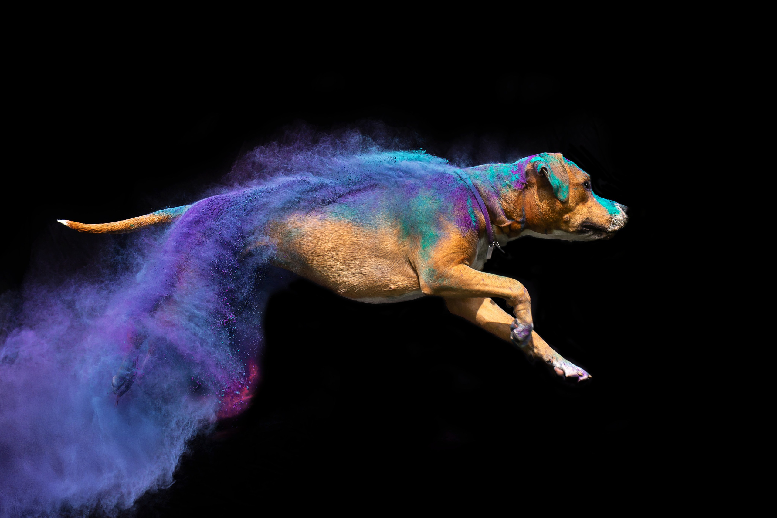 Батлер и Кэти