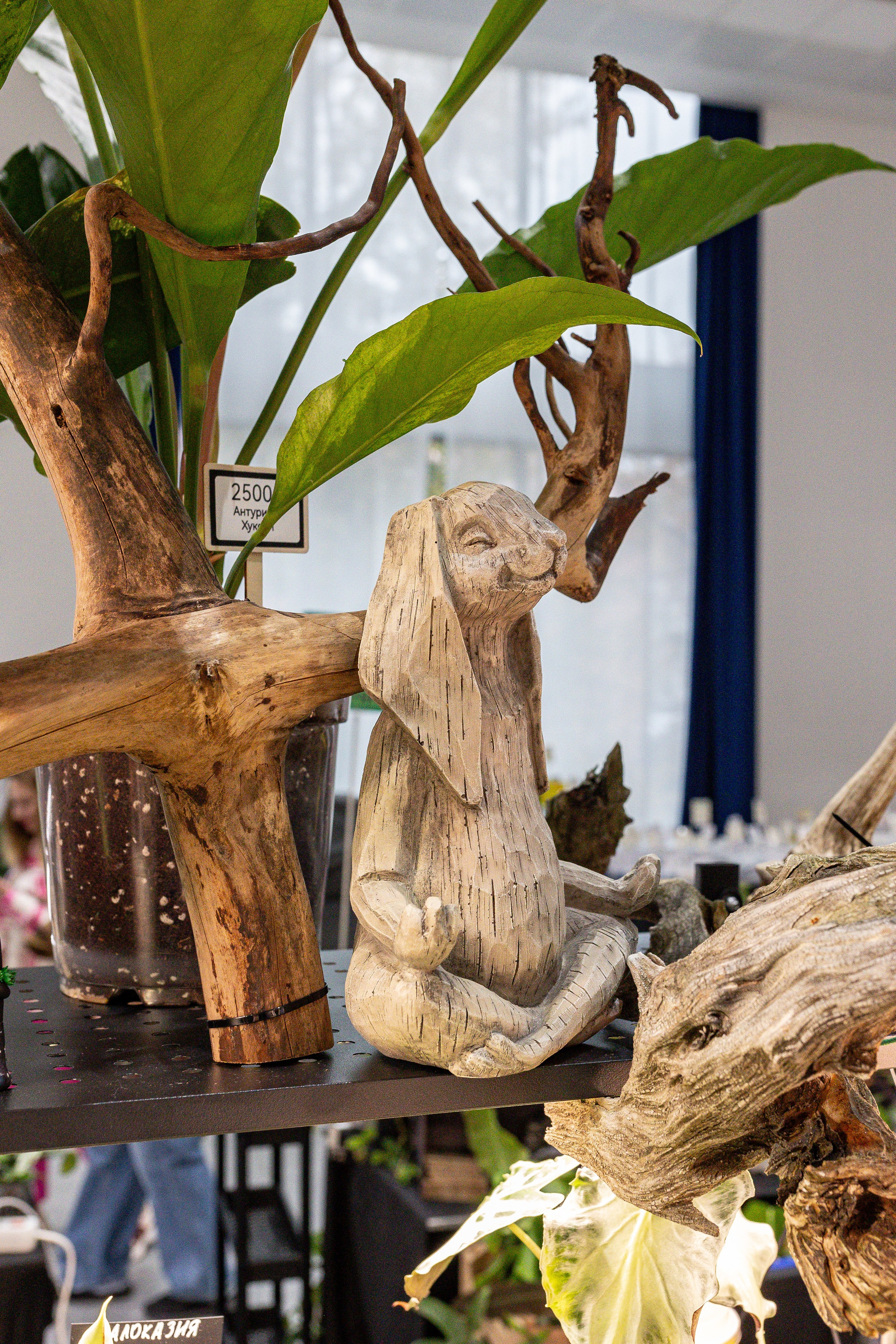 Монстериум 11–12 октября. Александра Куликова фотограф, Москва