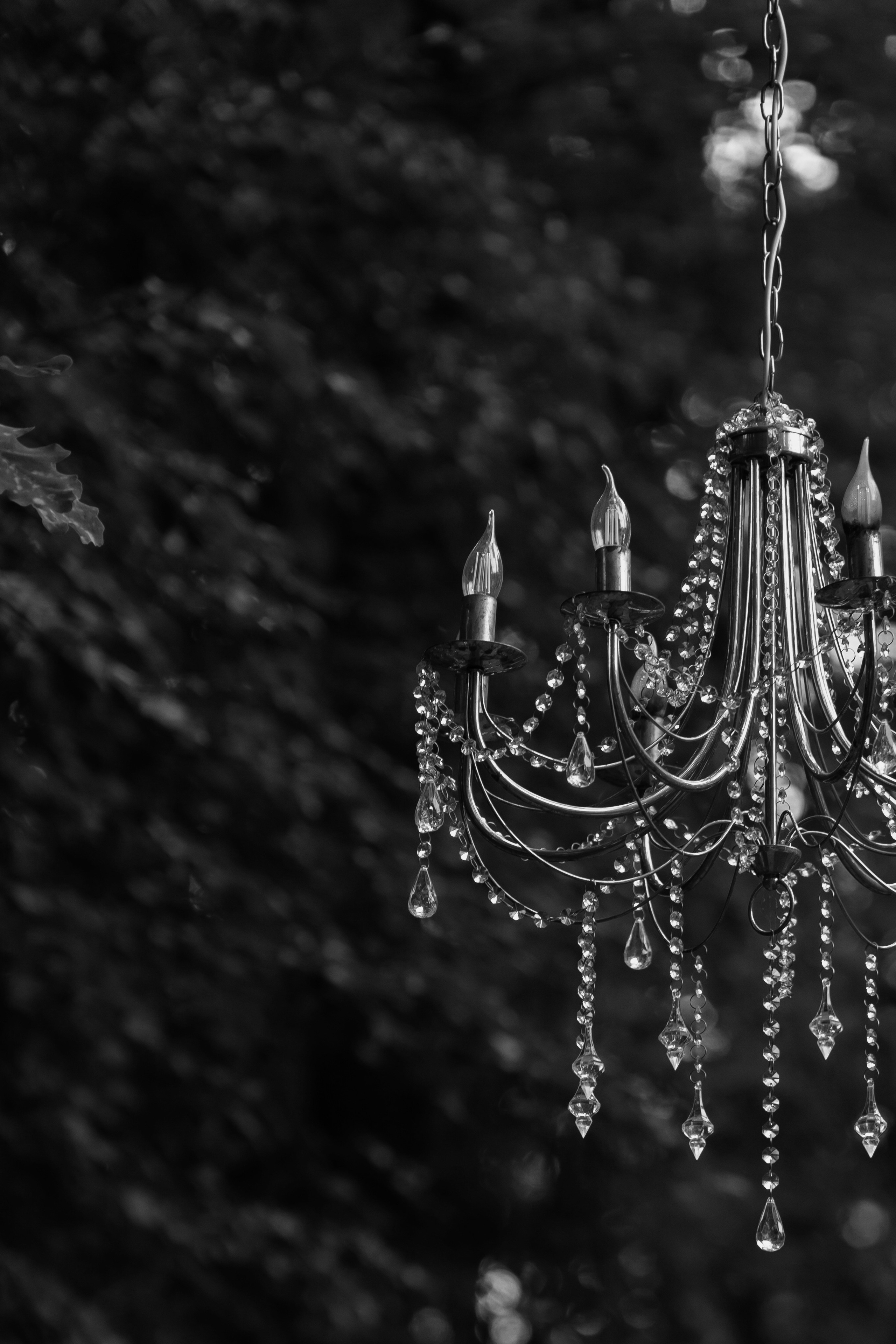 It all starts with love. Свадебный фотограф в Москве Мария Кривоногова