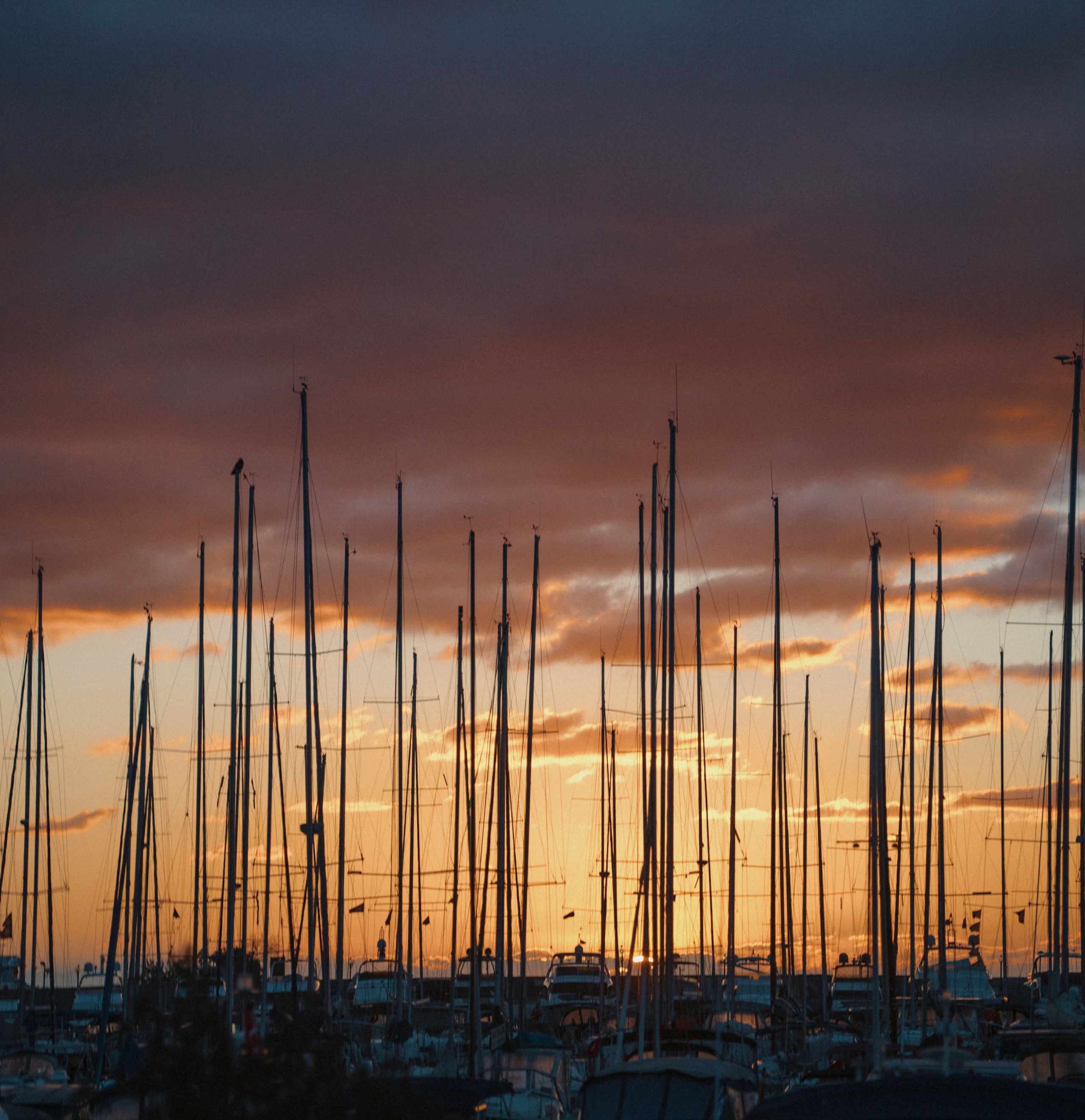 СТАМБУЛ. Стрит-фотография, полная абсурда, идиотизма и красоты