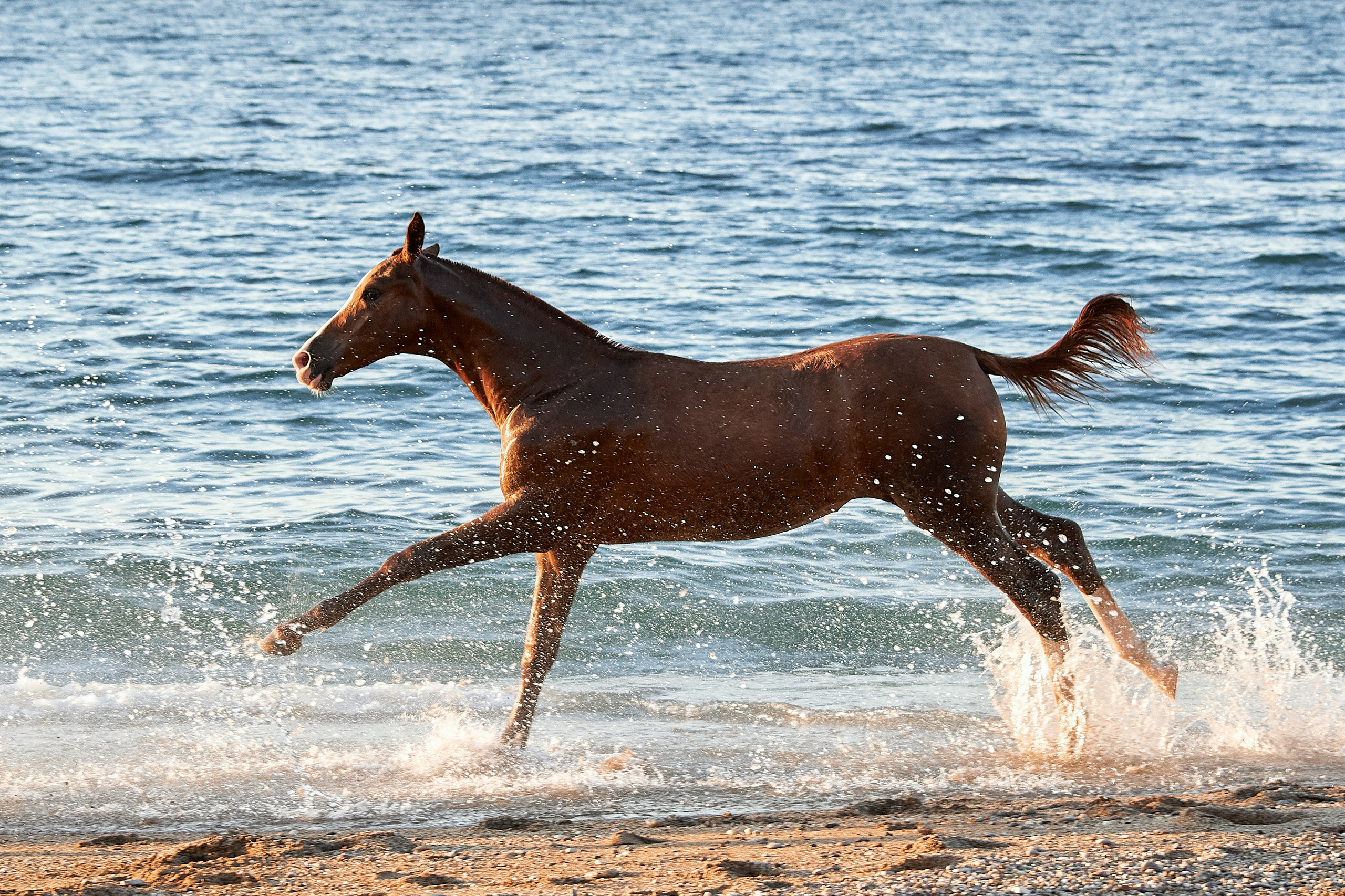 Галактика и Кассиопея. Фотограф в Севастополе