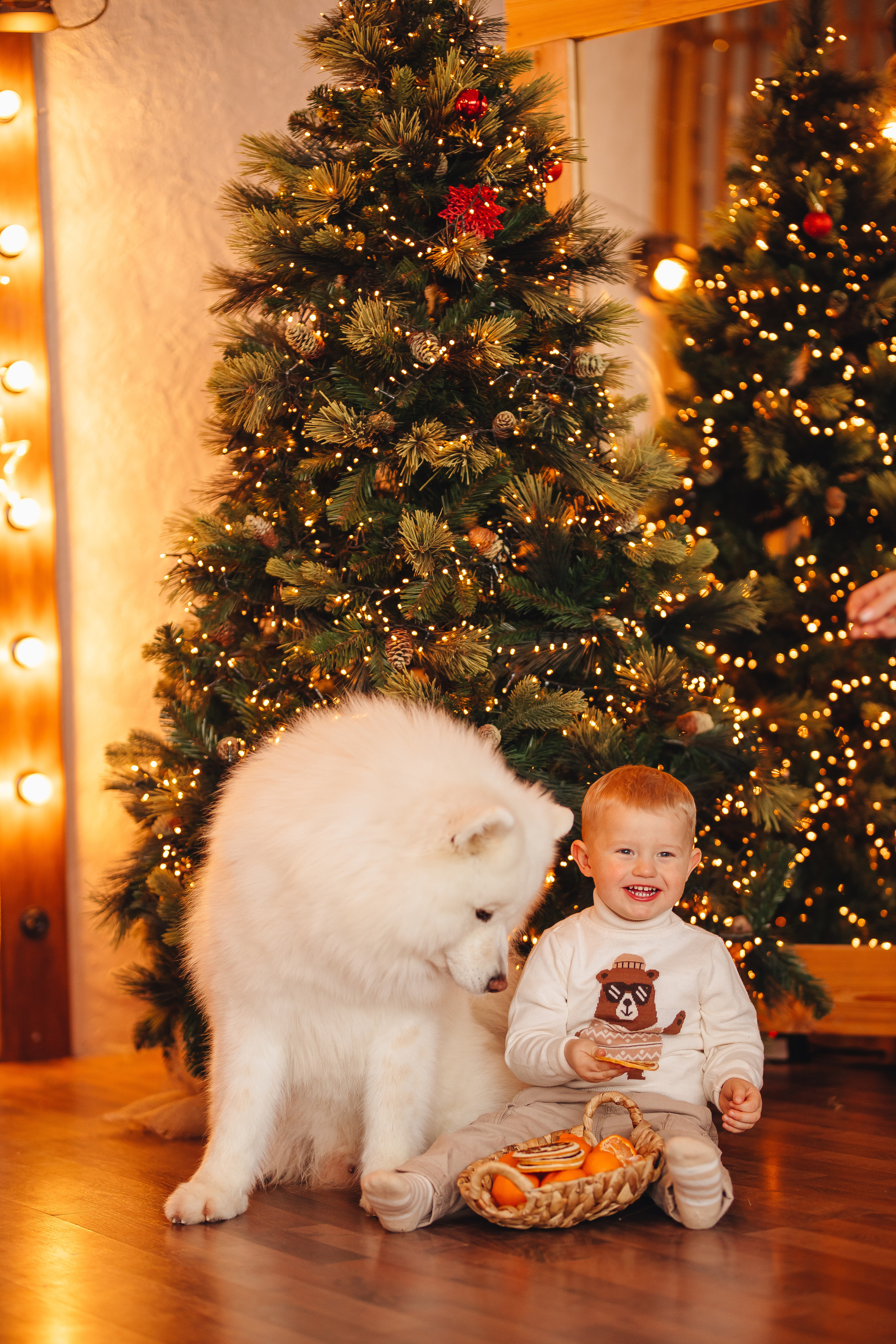 Вчетвером веселее. Свадебный и семейный фотограф в Туле и области Маша Костина