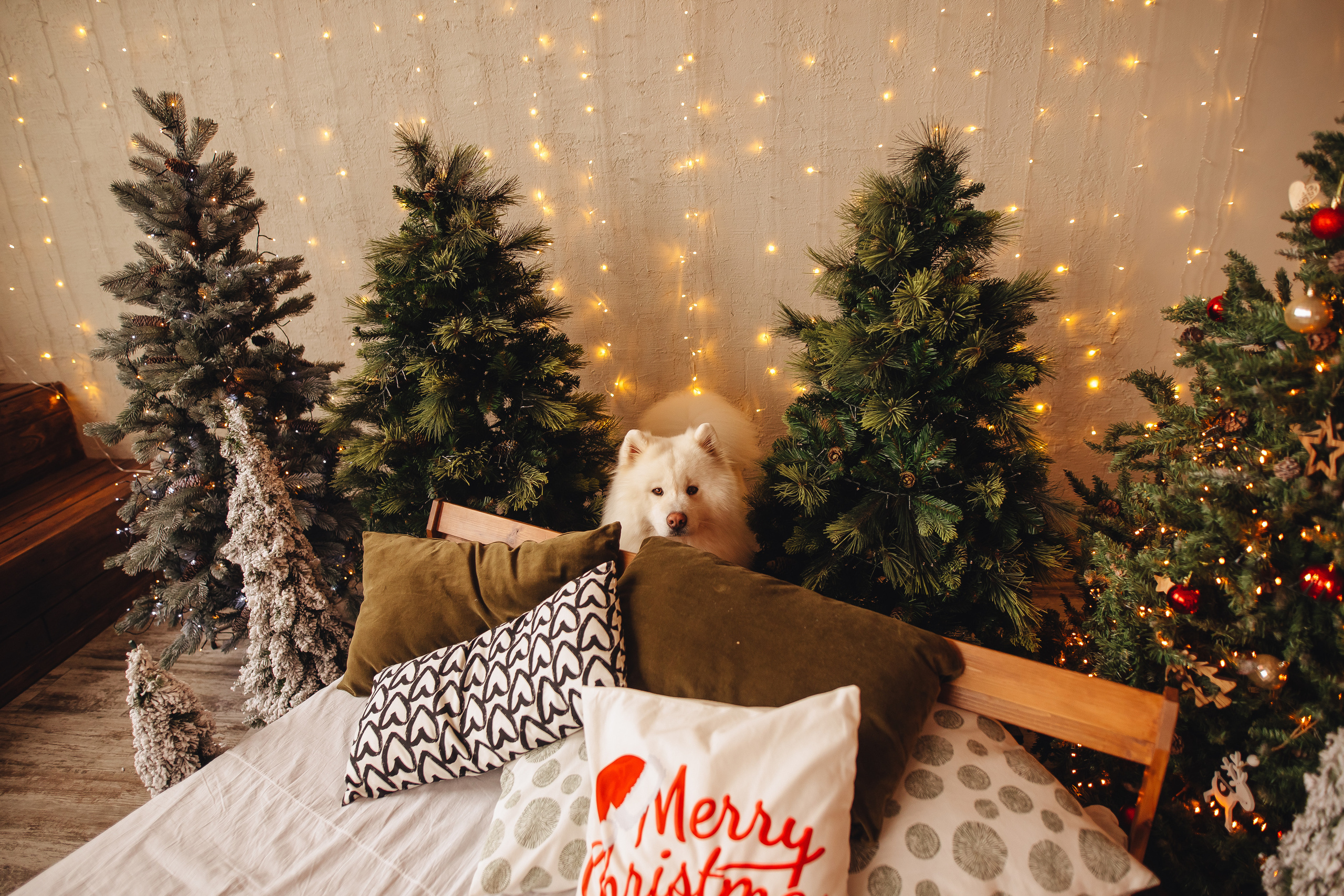 Вчетвером веселее. Свадебный и семейный фотограф в Туле и области Маша Костина