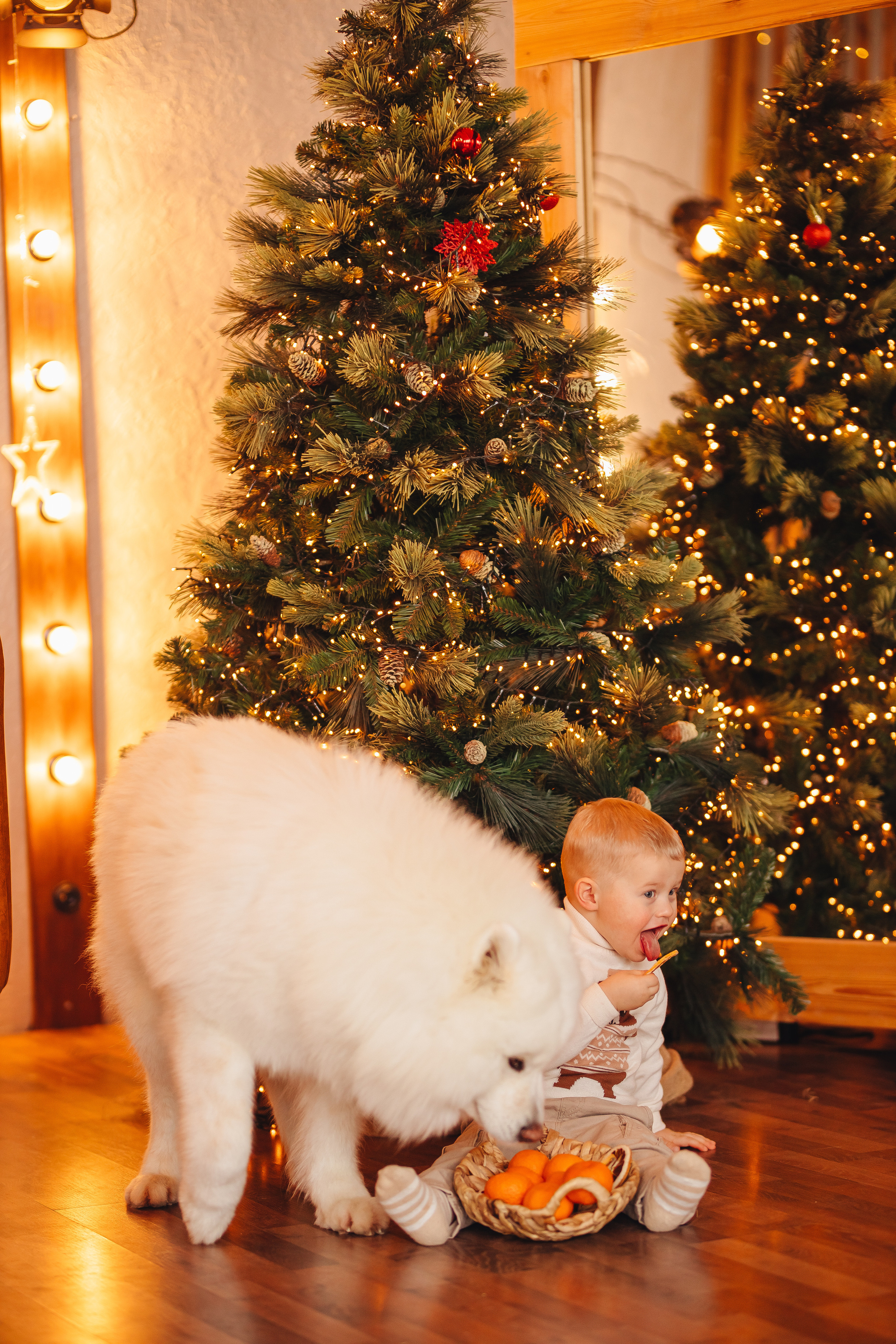 Вчетвером веселее. Свадебный и семейный фотограф в Туле и области Маша Костина