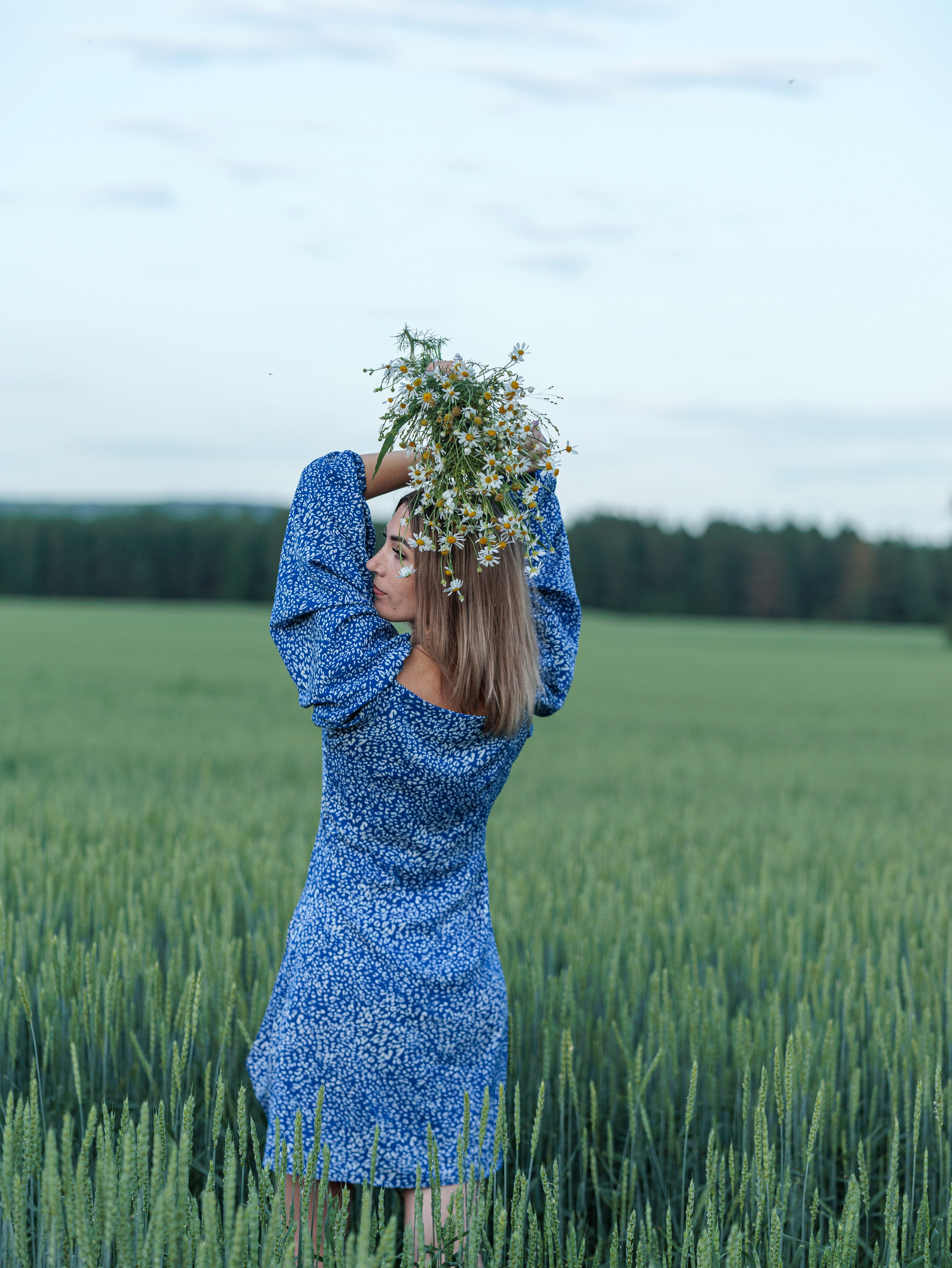 2025 съемки в полях. Конный фотограф в Красноярске — Любовь Похабова