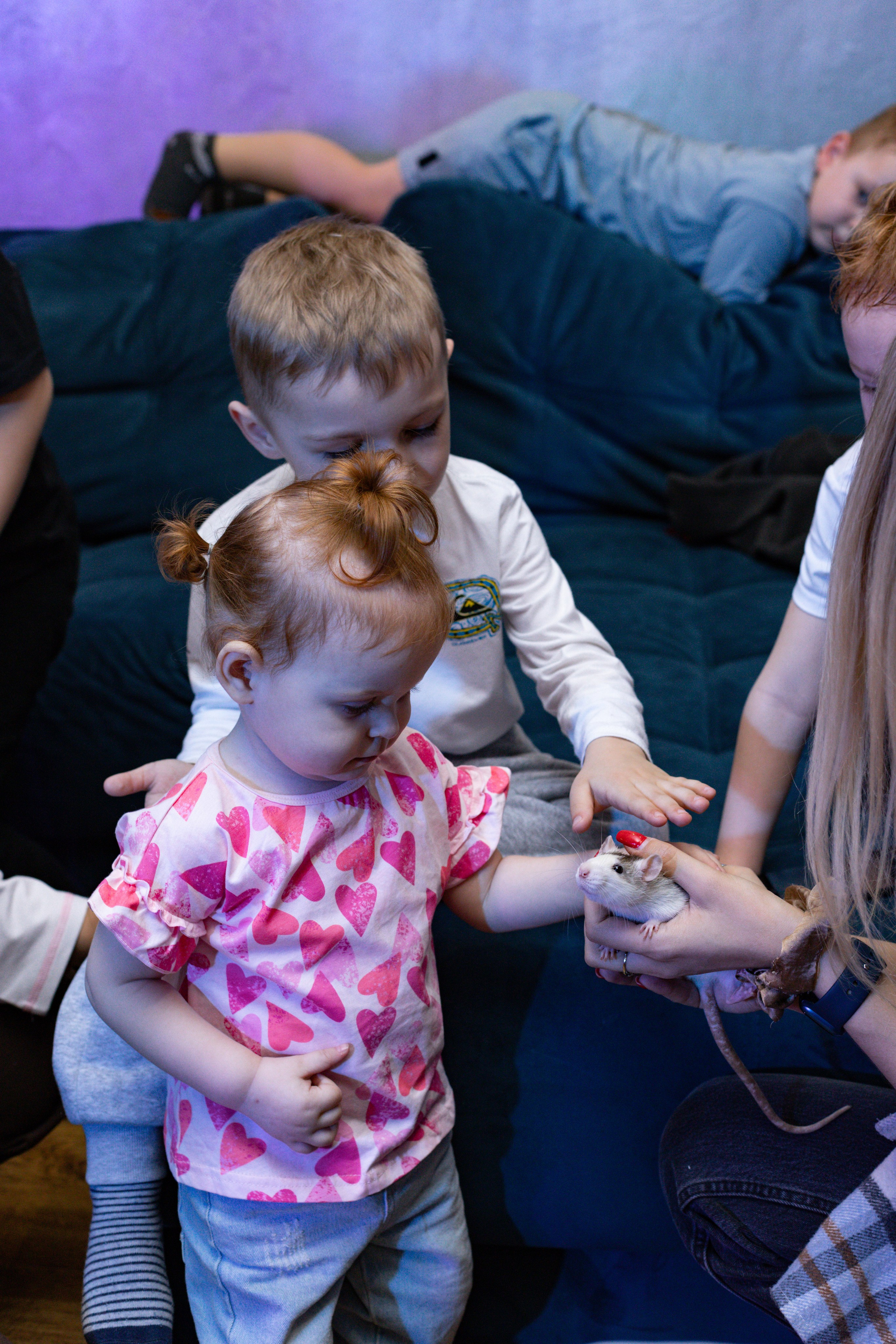 ZAHAR 5 YEAR / BIRTHDAY. Photokarish