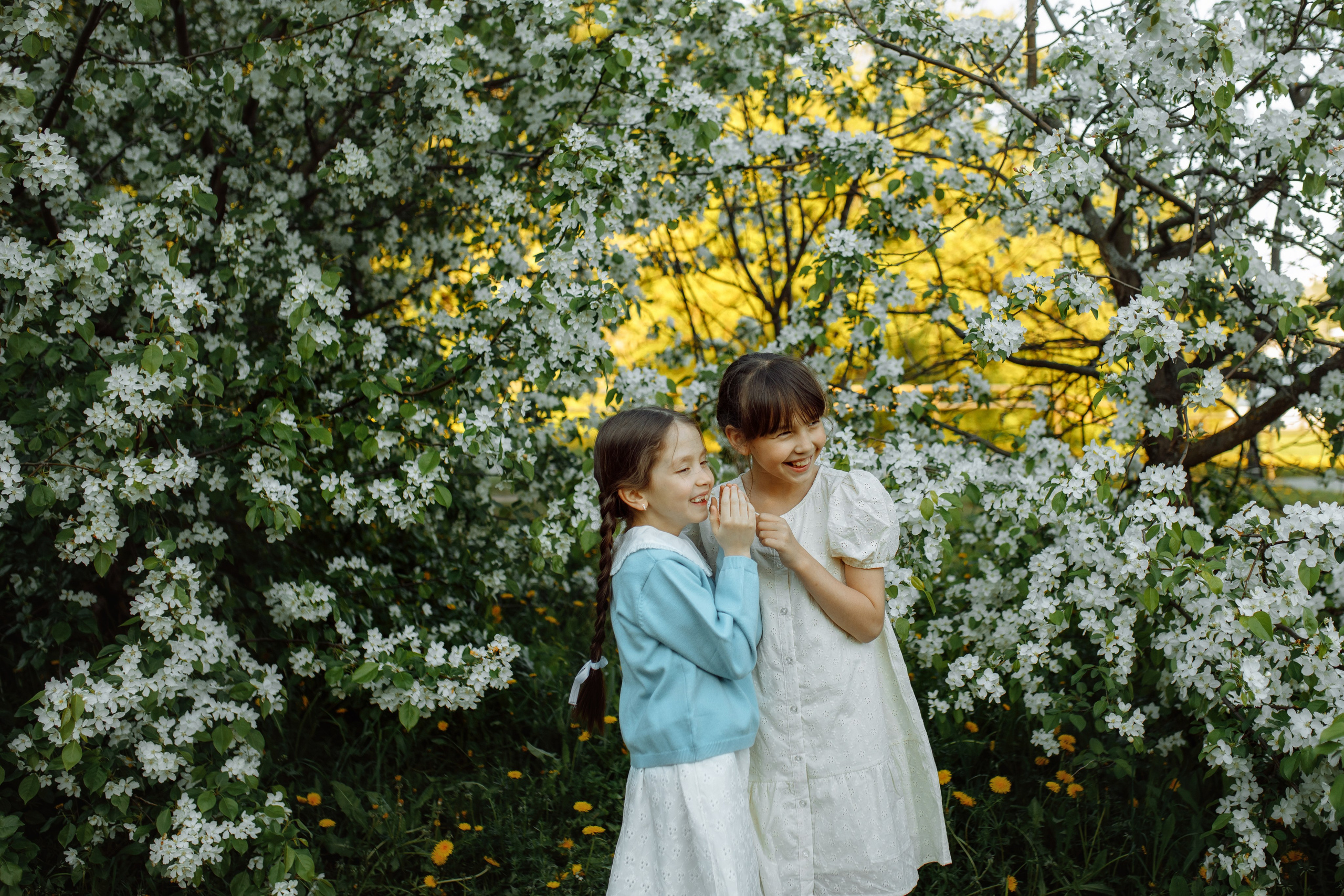 Цветение. Детский и семейный фотограф г. Чебоксары Оля Горбунова