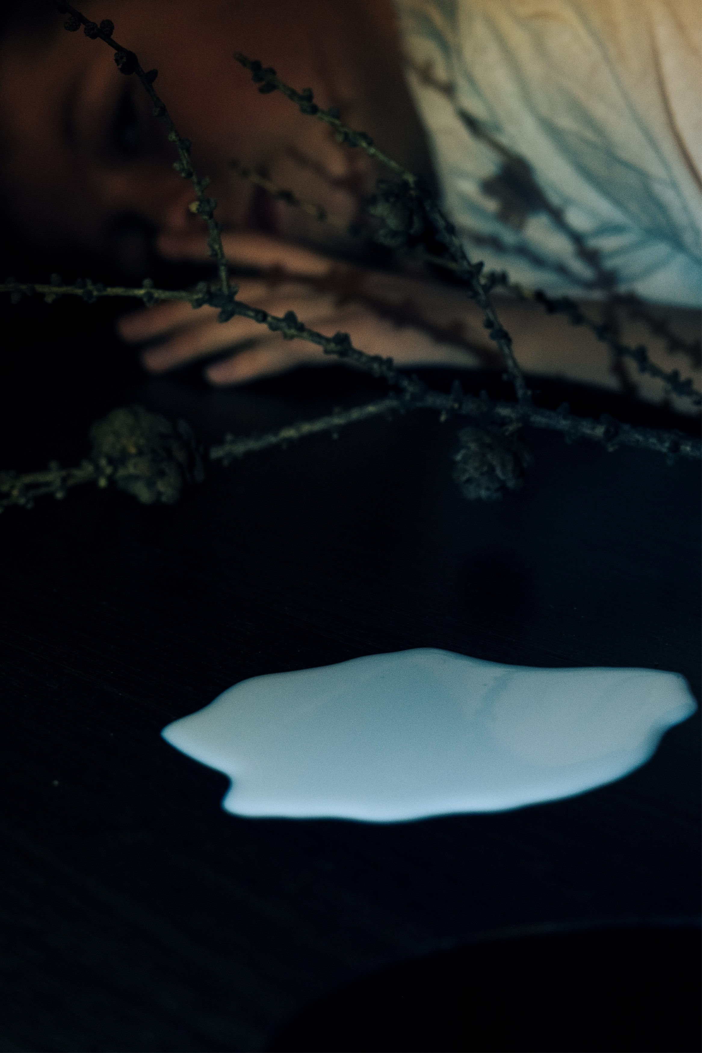 Арт фотограф и визуальный художник Марина Черепович