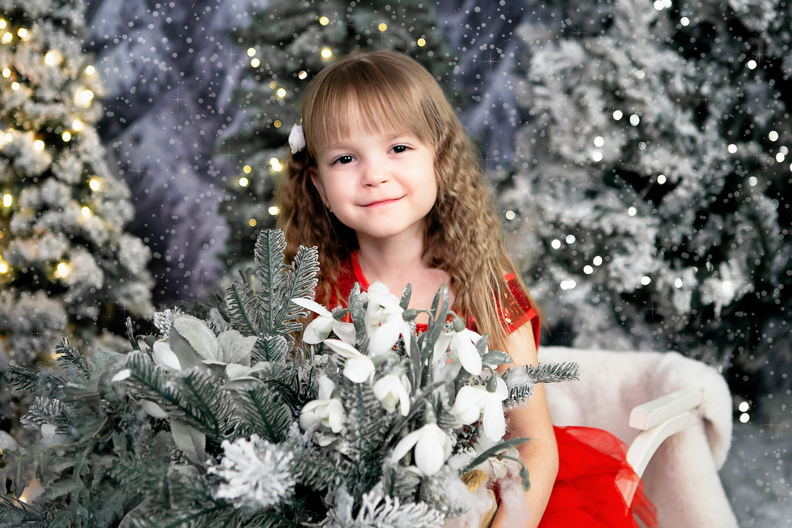 Проект «Новый год». Выпускные альбомы для школ и детских садов