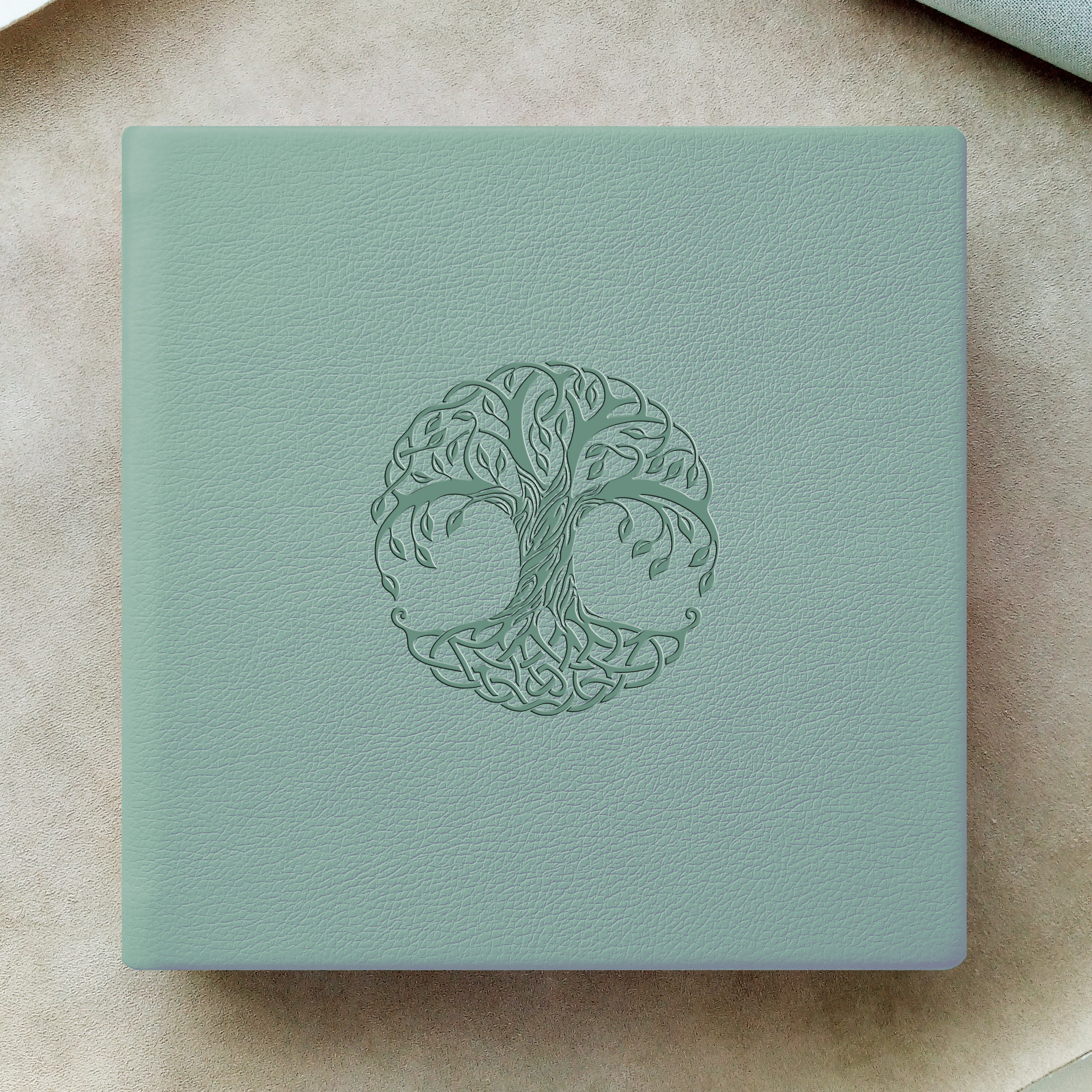 Варианты тиснения. Выпускные альбомы для школ и детских садов