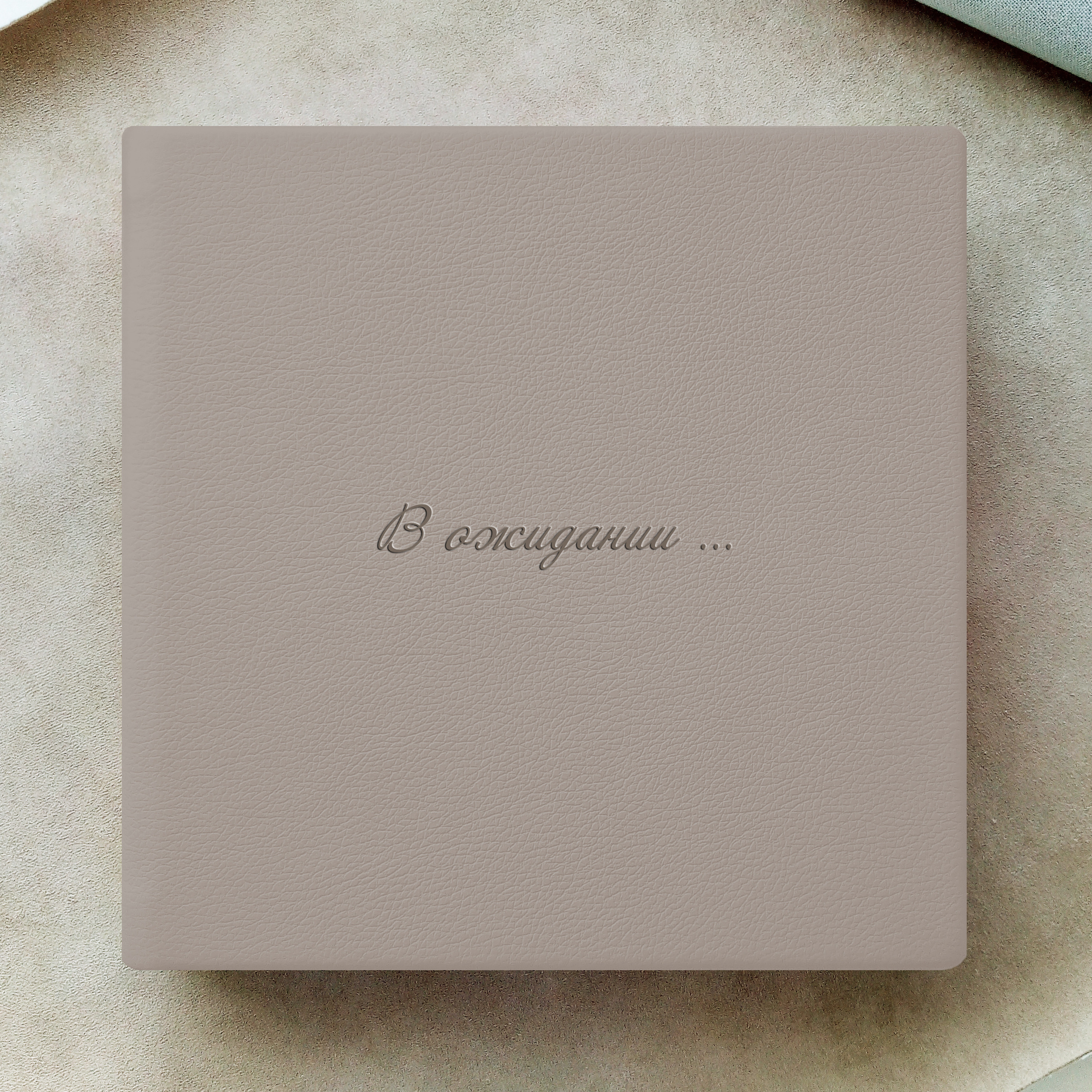 Варианты тиснения. Выпускные альбомы для школ и детских садов