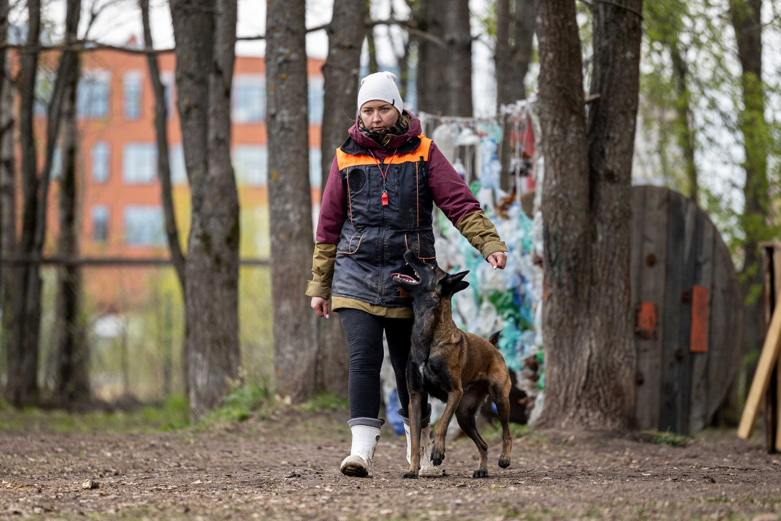 Квалификационные состязания по мондьорингу г. Вологда 11.05.24. Фотограф-анималист Анна Маринич