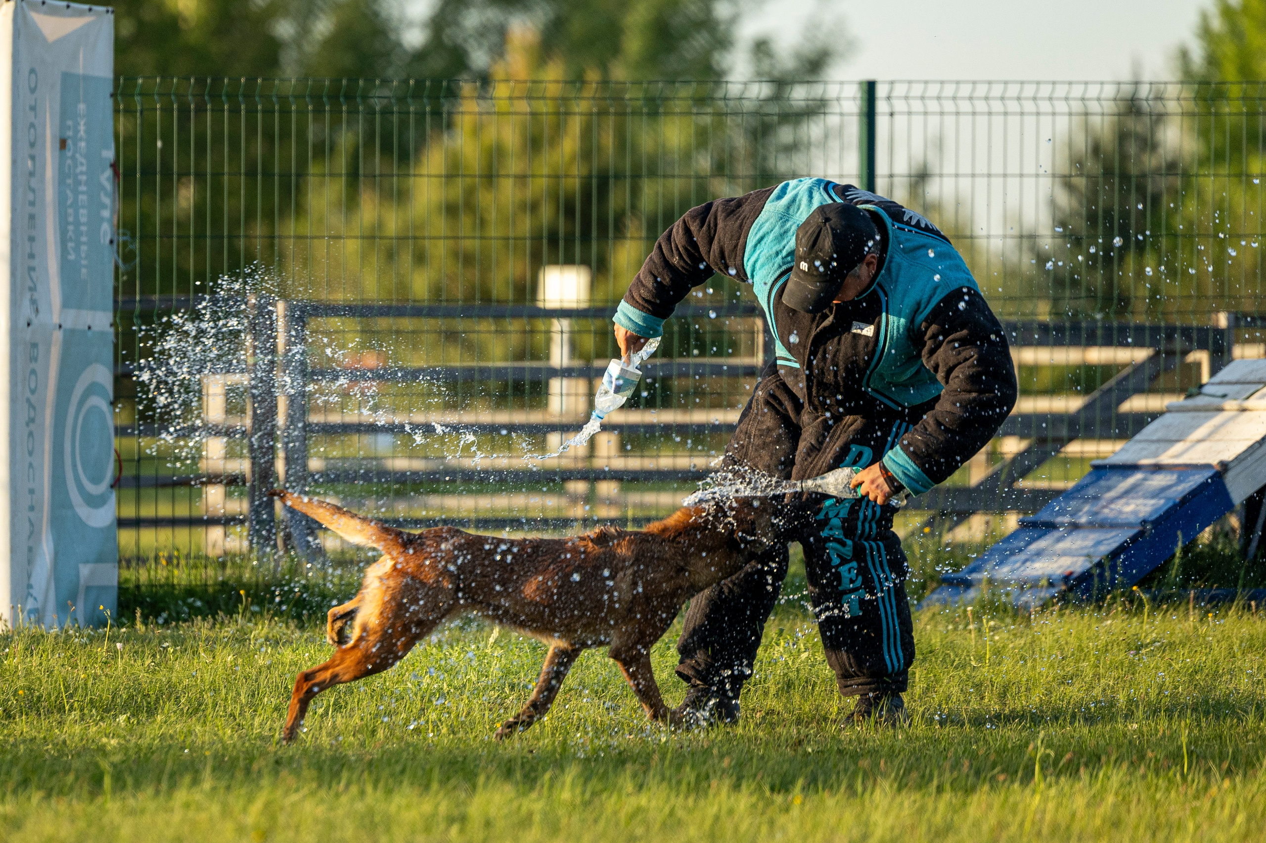 Испытания по мондьорингу в Нижнем Новгороде. Фотограф-анималист Анна Маринич